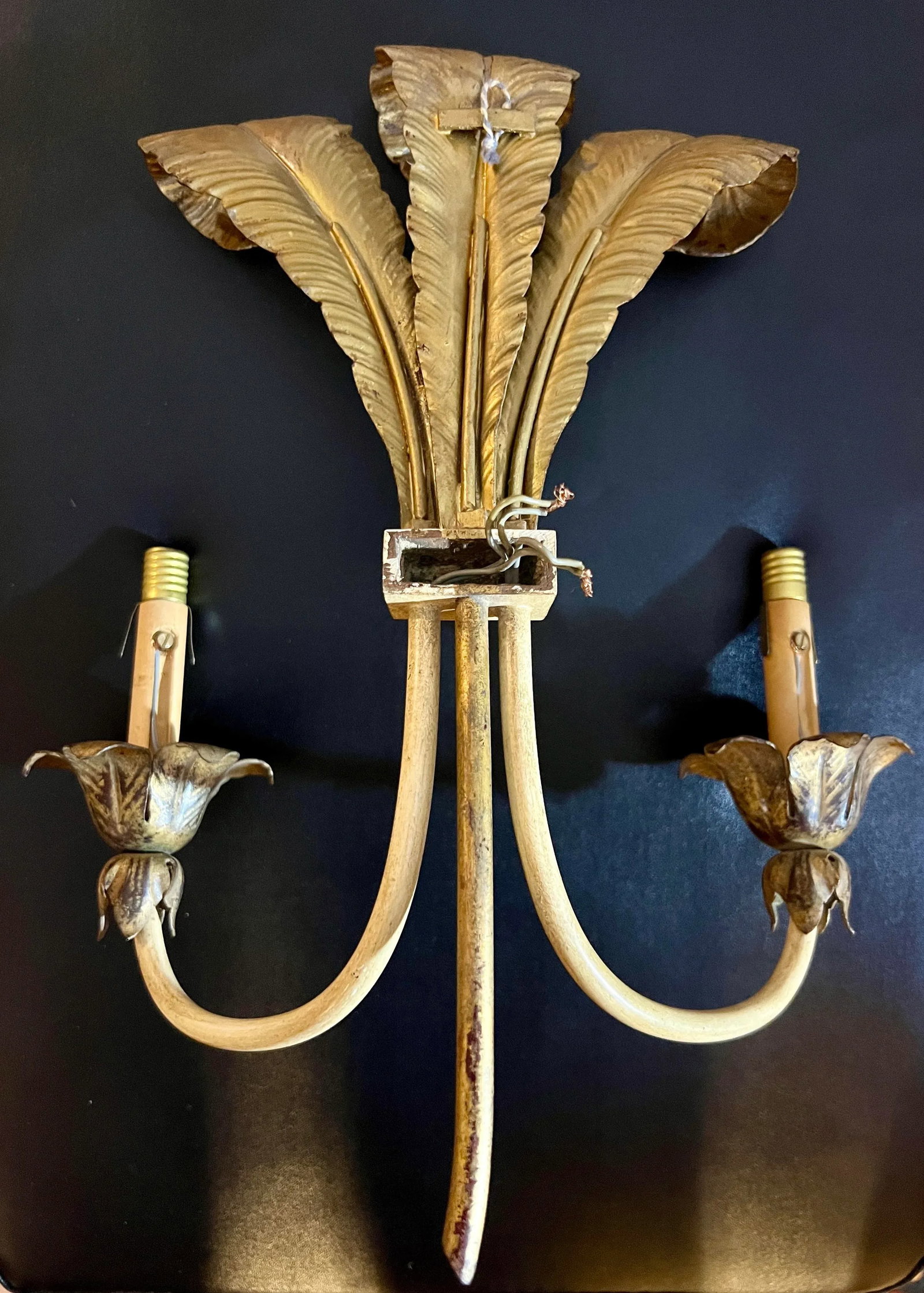 Pair, French Feather Gilt Bronze Wall Sconces, Circa 1950's - 5
