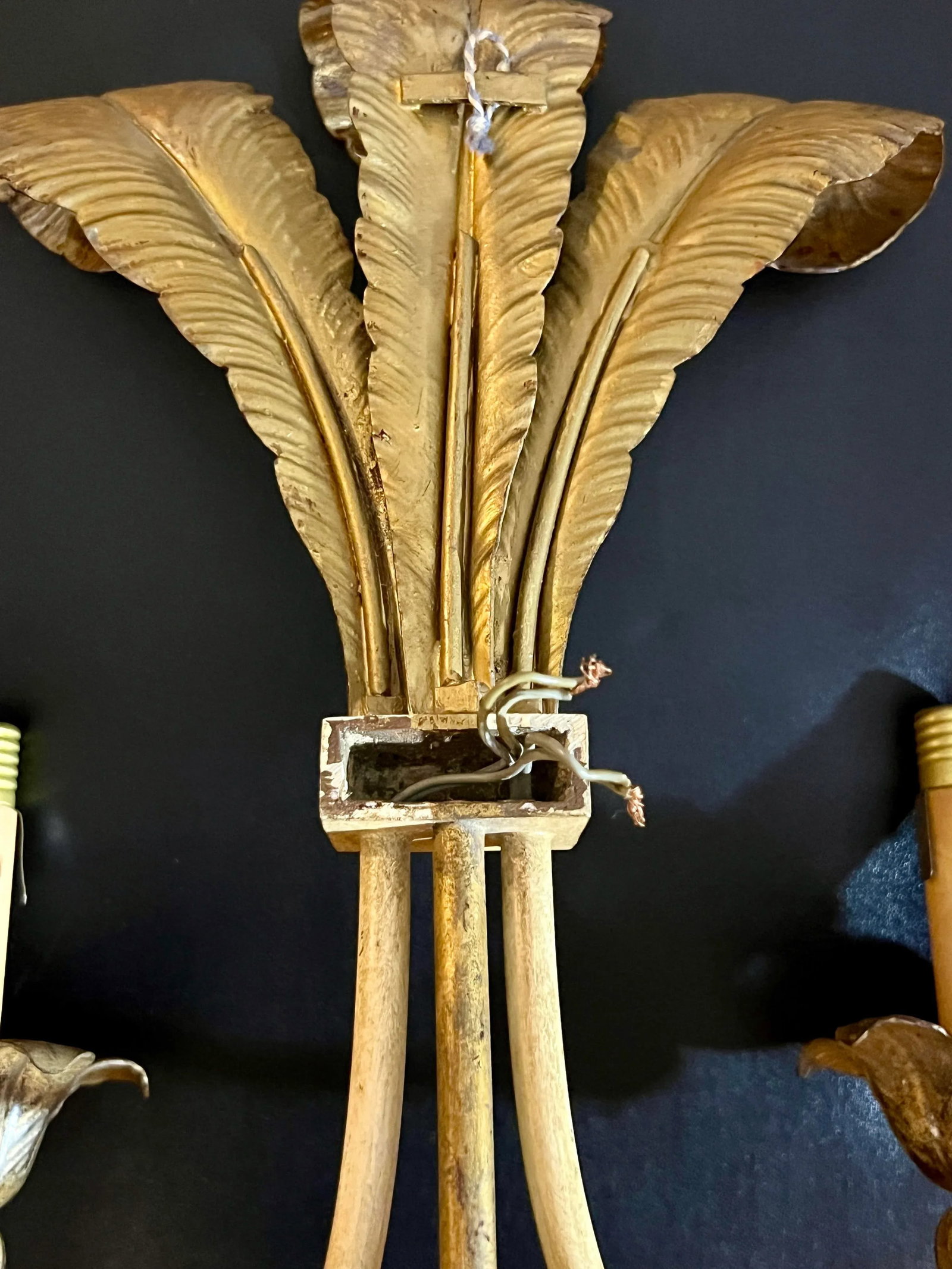 Pair, French Feather Gilt Bronze Wall Sconces, Circa 1950's - 7