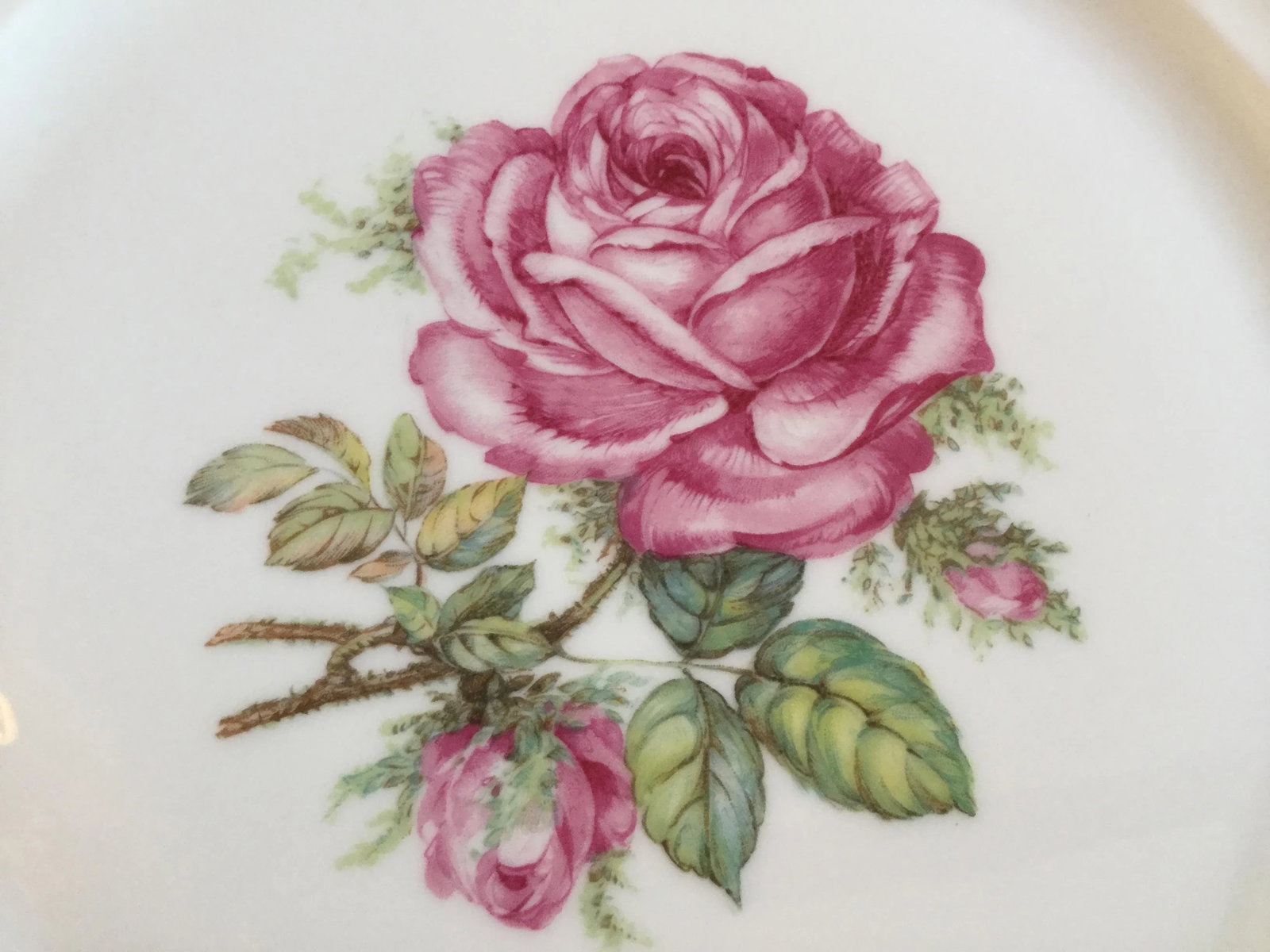 1950s Bavarian China Plates - Set of 3 - 8