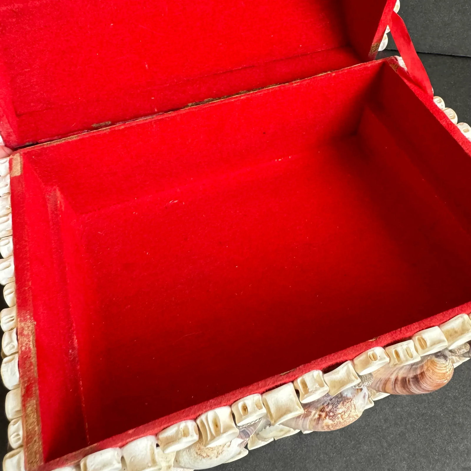 Vintage Seashell Jewelry Box Shell Encrusted Domed Trinket Box - 10