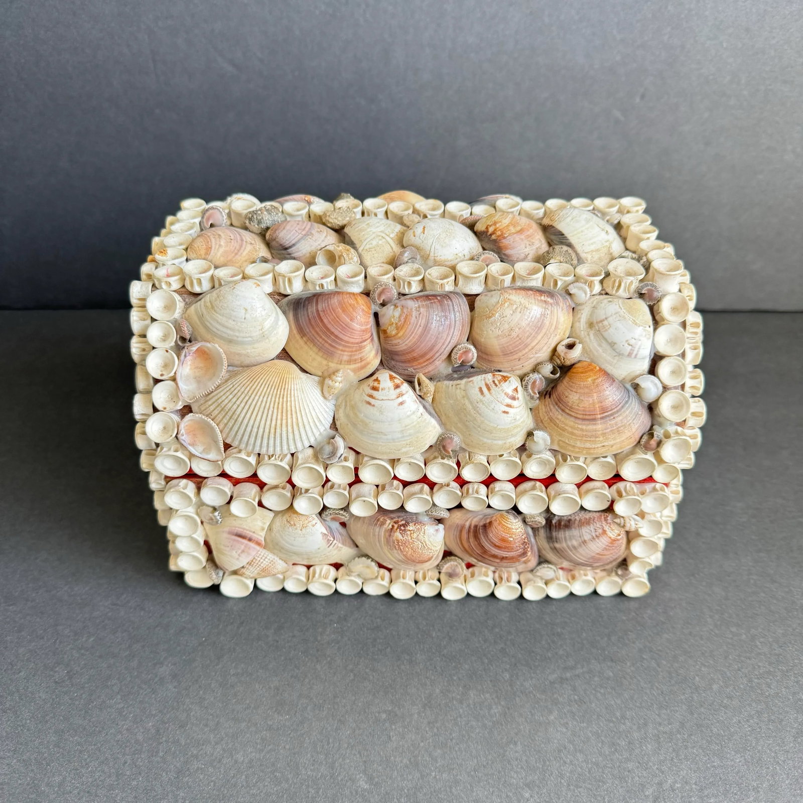 Vintage Seashell Jewelry Box Shell Encrusted Domed Trinket Box - 3