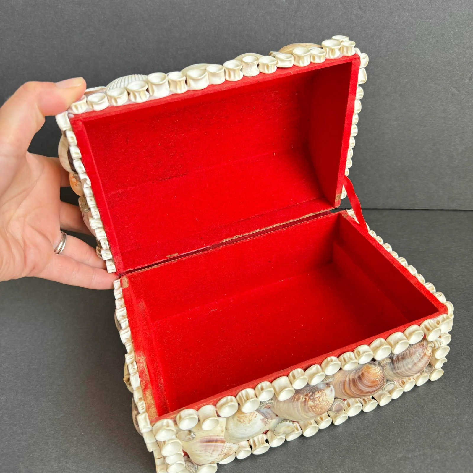 Vintage Seashell Jewelry Box Shell Encrusted Domed Trinket Box - 9
