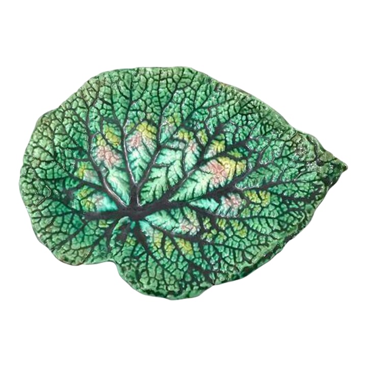 Antique Etruscan Majolica Leaf Plate: Antique Etruscan majolica leaf plate with textured veining of a begonia leaf. Condition: Alterations: Original Condition Unaltered Imperfections: Some Imperfections Condition Notes: Very Good