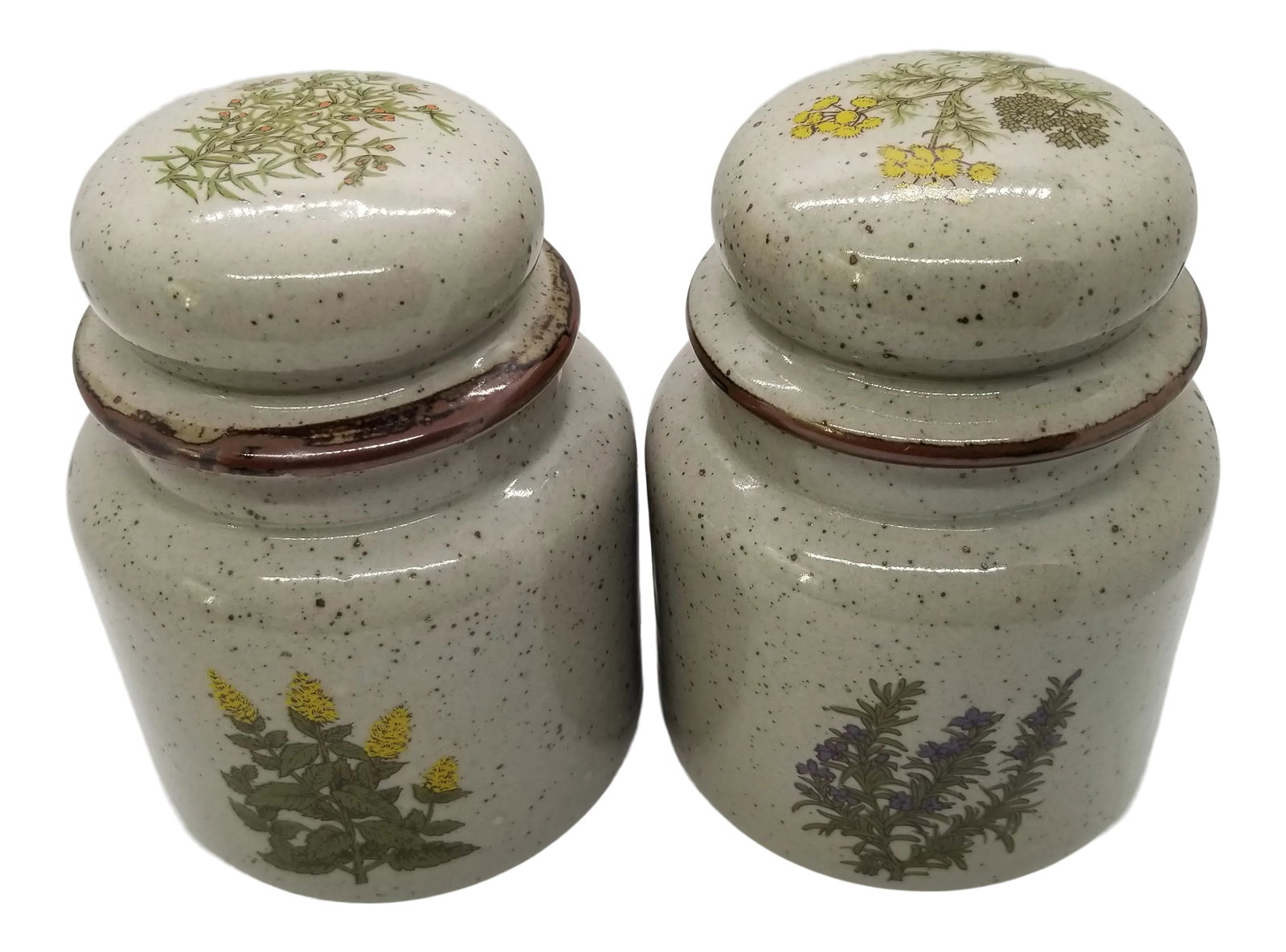 Vintage Mid-Century Modern Botanical Ceramic Takahashi Canisters - a Pair: Can't you see these Vintage Botannical Ceramic Takahashi Canisters gracing your open shelves in your kitchen? They are perfect for housing your freshly grown basil and oregano! Condition: