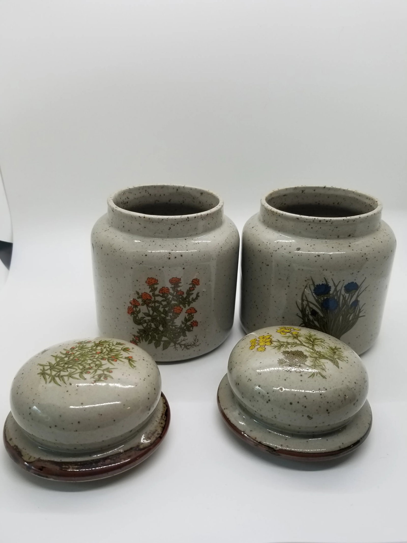 Vintage Mid-Century Modern Botanical Ceramic Takahashi Canisters - a Pair - 2