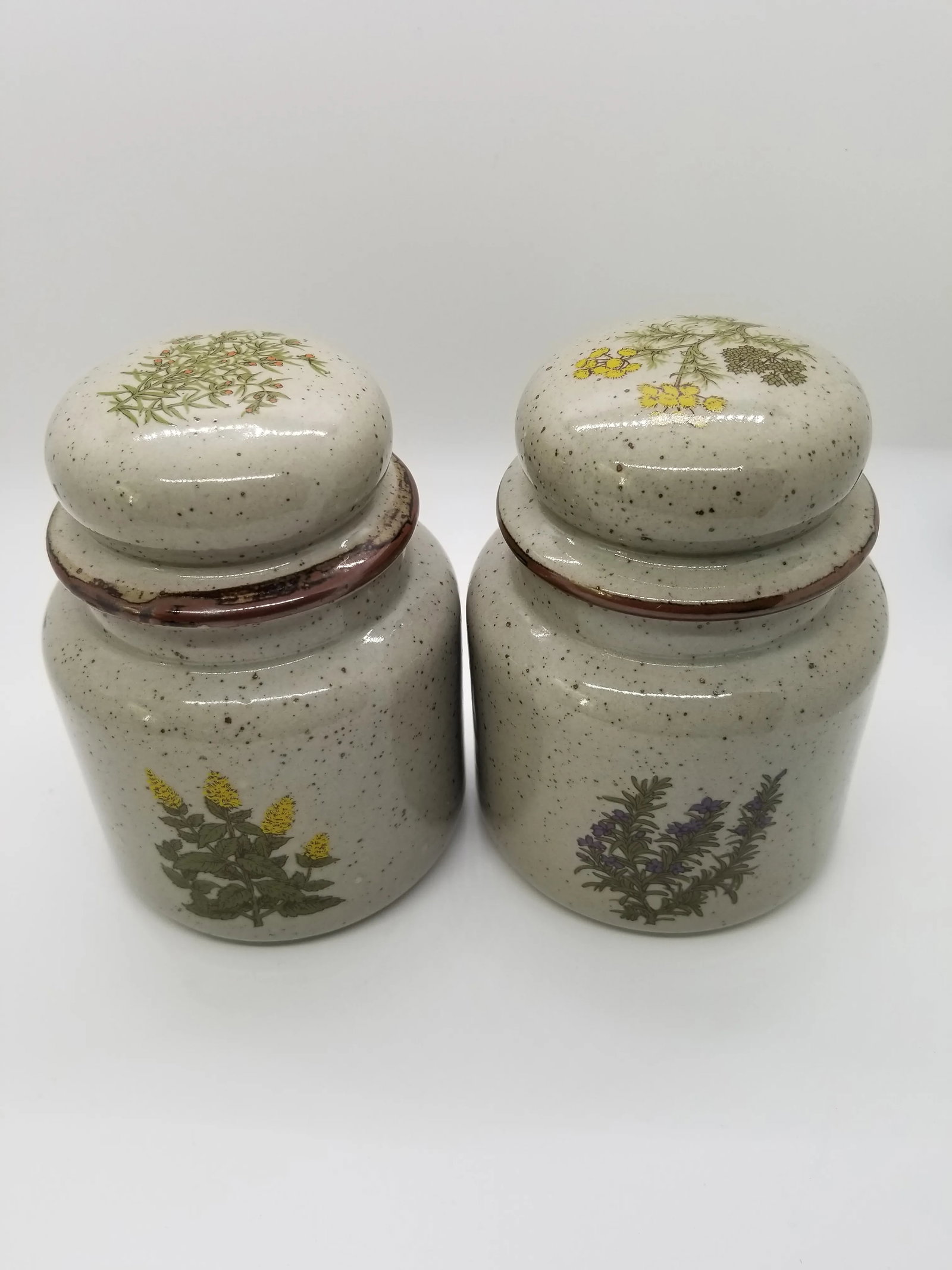 Vintage Mid-Century Modern Botanical Ceramic Takahashi Canisters - a Pair - 4