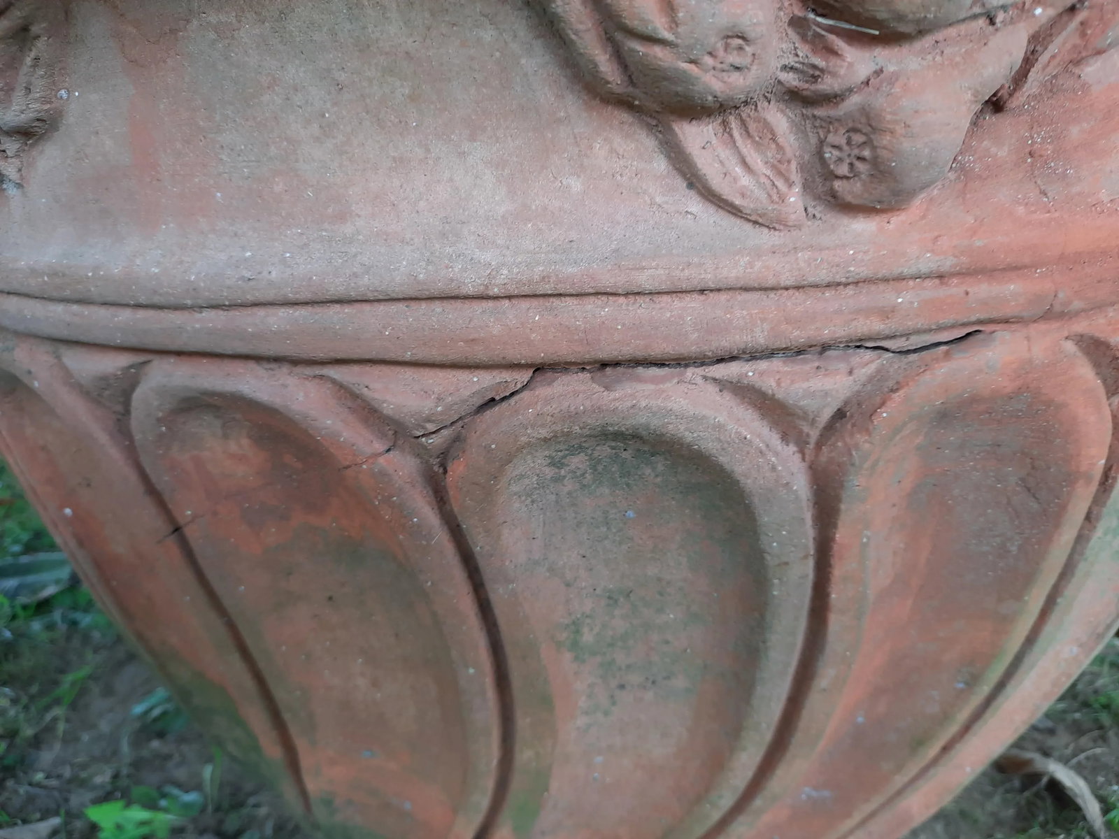 Italian Fig Terra Cotta Pot - 3