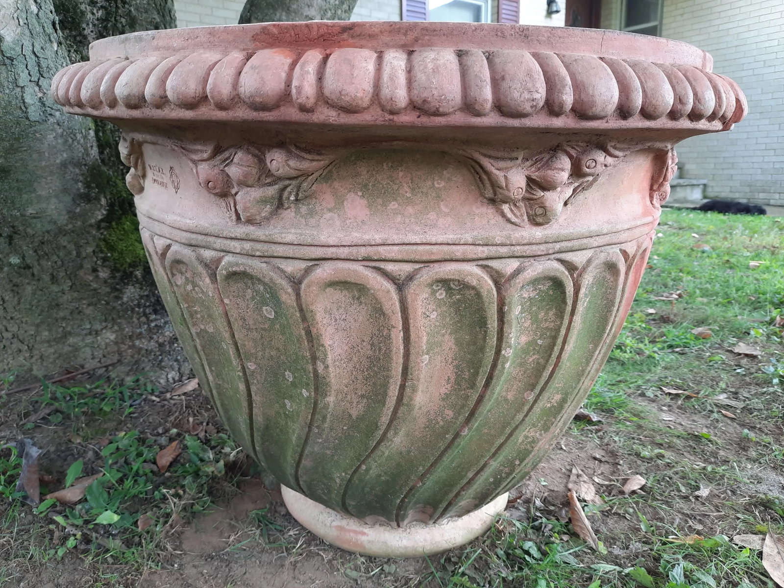 Italian Fig Terra Cotta Pot - 9