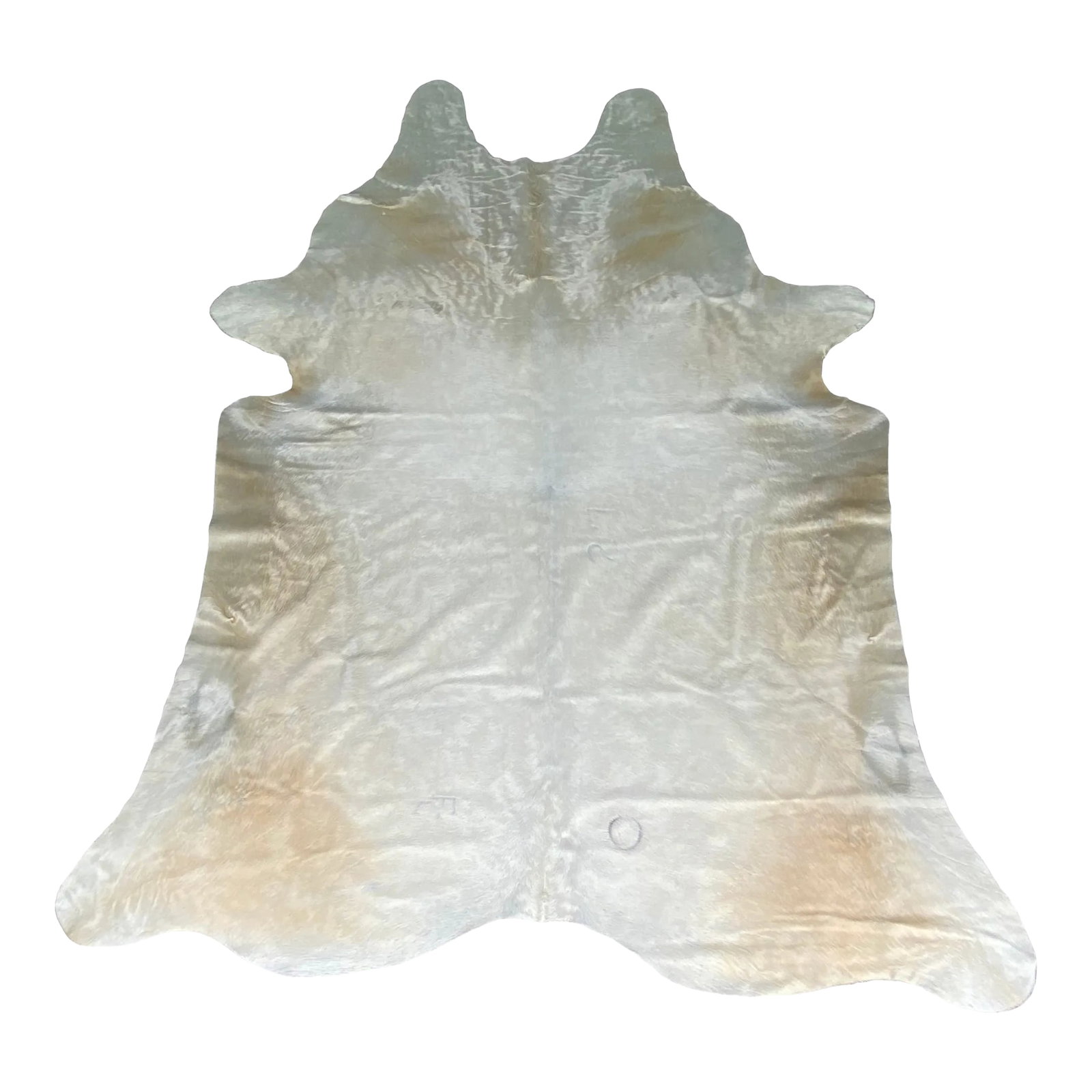 Extra Large Champagne Brazilian Cowhide Rug: Stunning extra large Brazilian cowhide in a glossy blonde champagne color way perfect in a monochromatic setting. We hand select each of these for color, sheen and versatility with emphasis on making