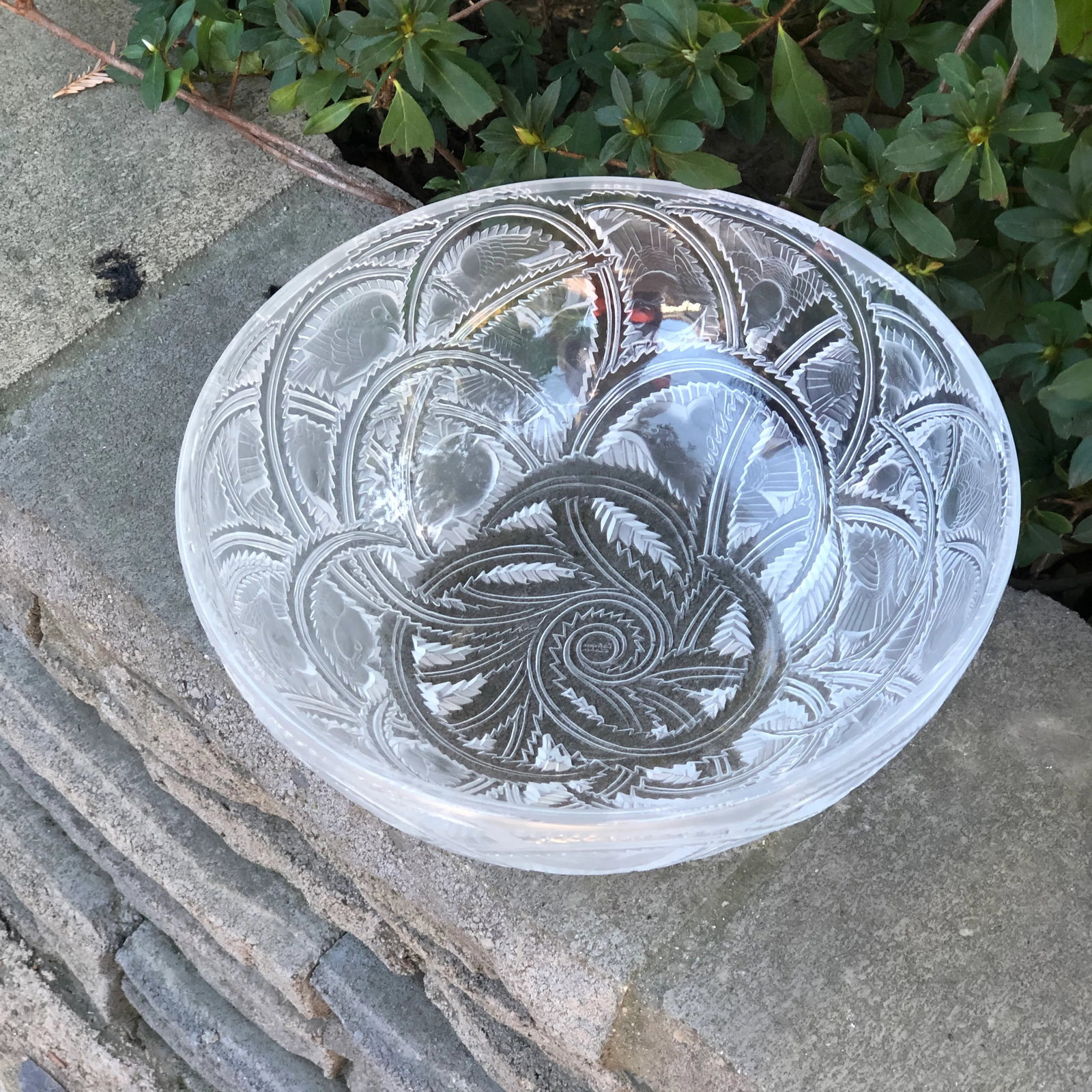 Lalique Crystal Pinsons Bird Bowl - 2