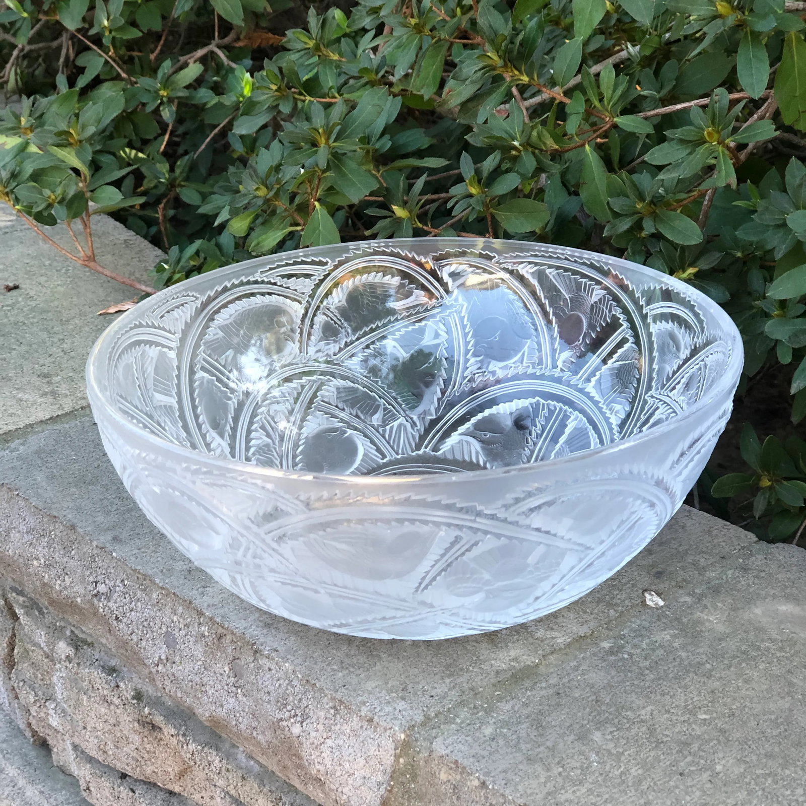 Lalique Crystal Pinsons Bird Bowl - 4