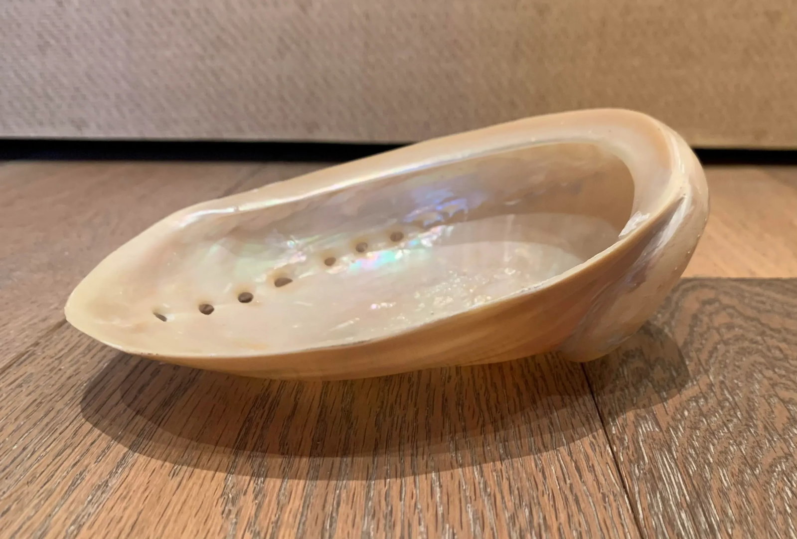 Mid 20th Century Abalone Shell - 2