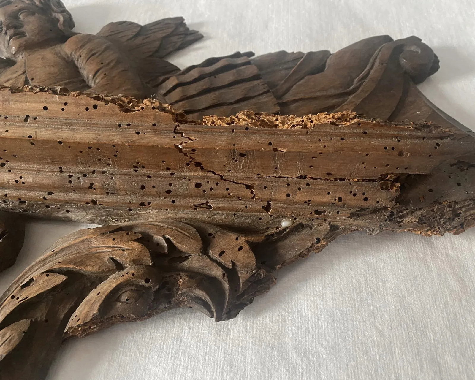 18th Century French Carved Wood Angel and Cherub Architectural Salvage Wall Hanging - 5