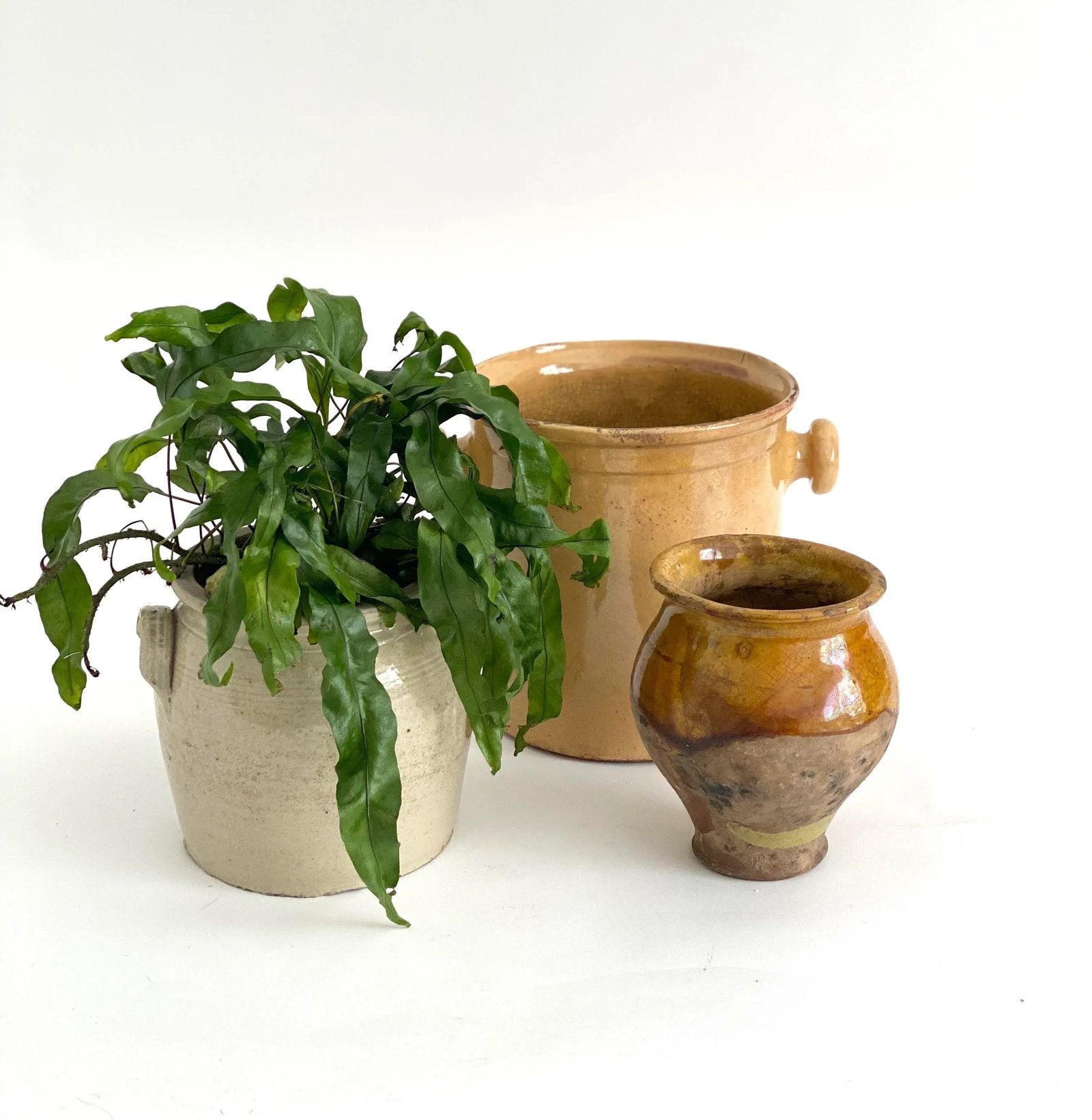 19th C French Confit Glazed Yellow Ware Preserving Jar W/ Handles - 2