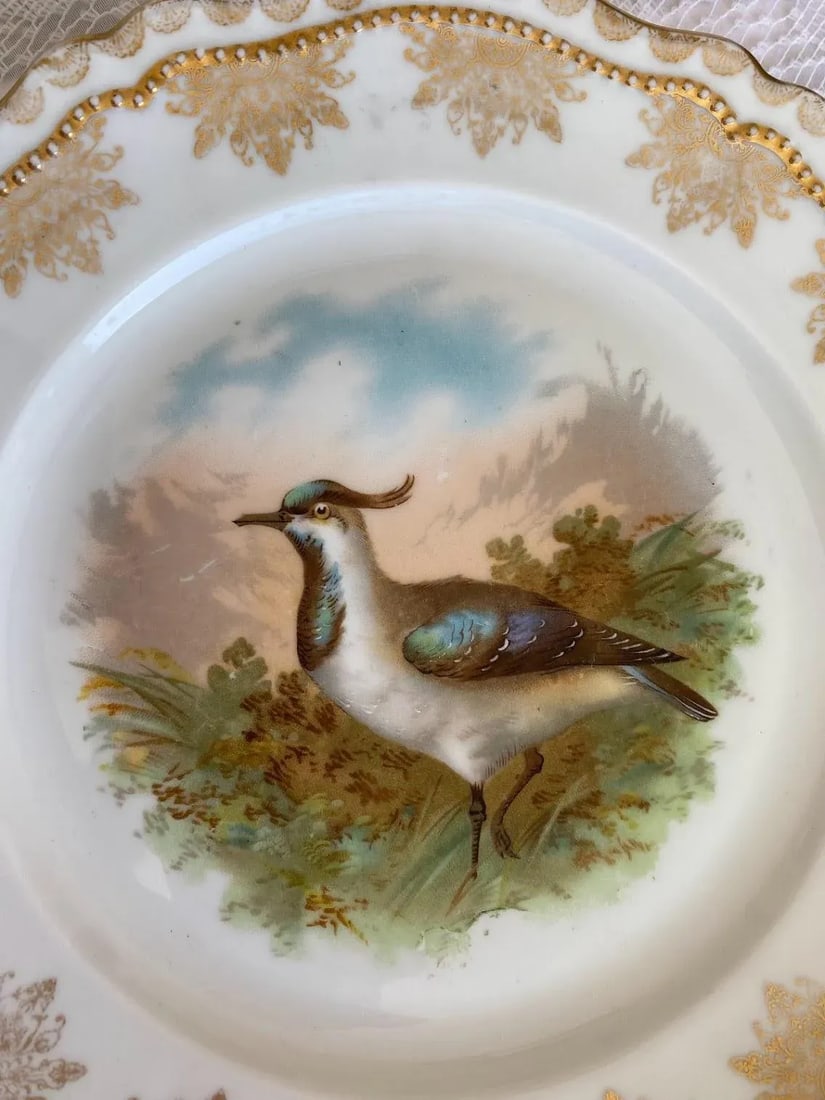 1910s Oscar & Edgar Gutherz Royal Austria Luncheon Plate with Game Bird Scene, Gold Floral Rim, Gold - 3