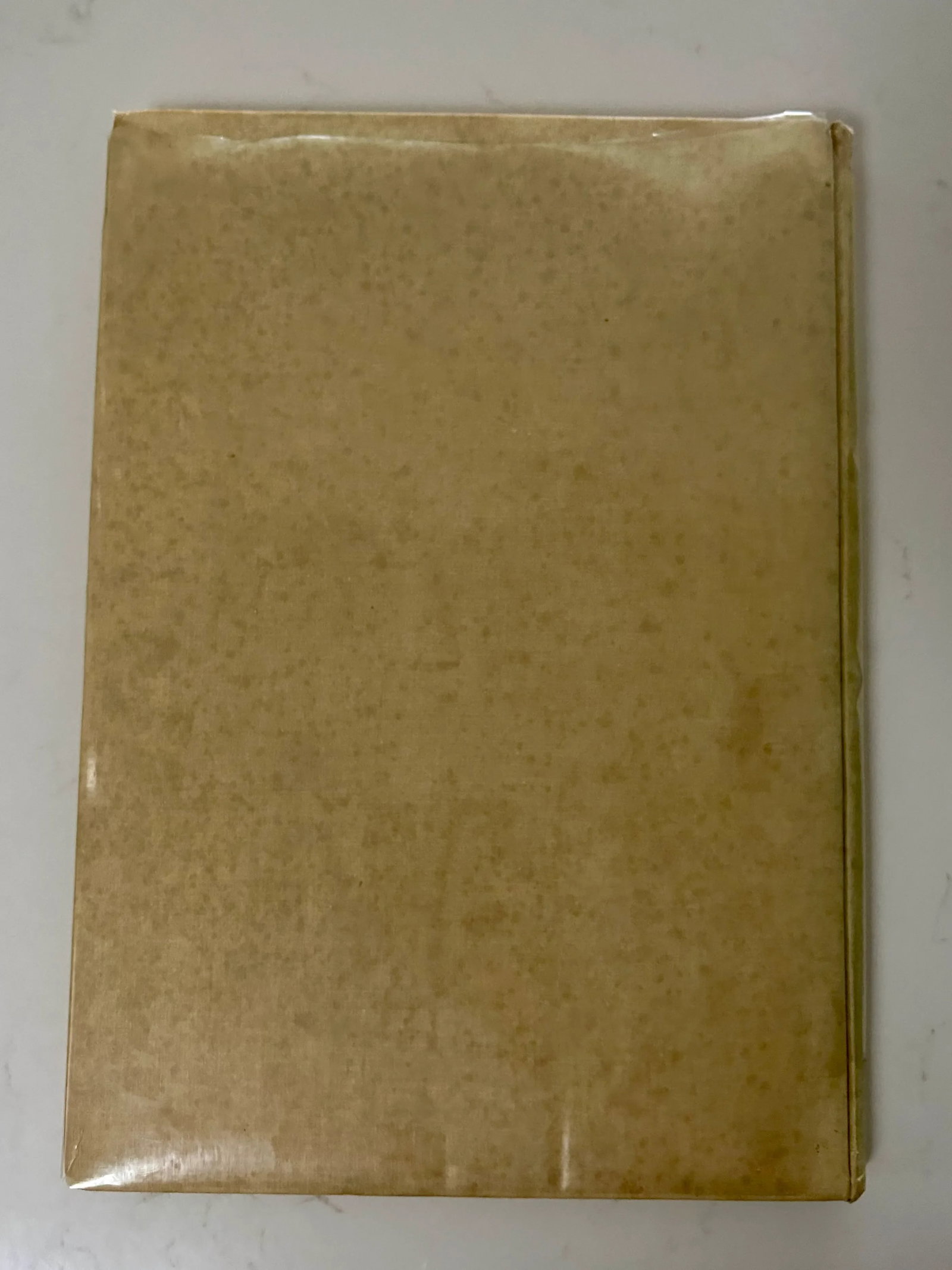 1964 Nineteenth Century Italian Painting Book, First Edition - 12