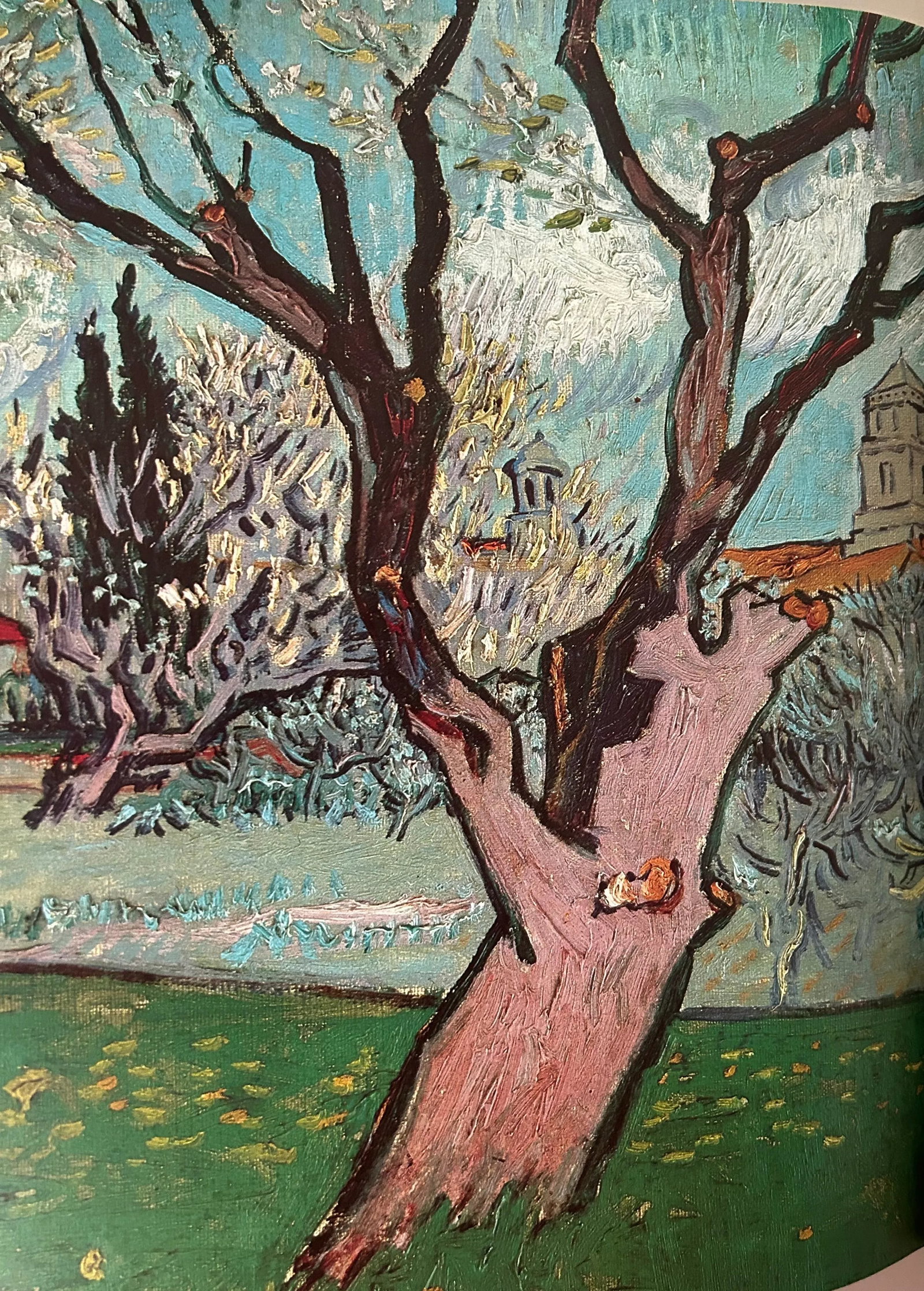 1980s Van Gogh in Arles the Metropolitan Museum of Art, Hardcover - 9