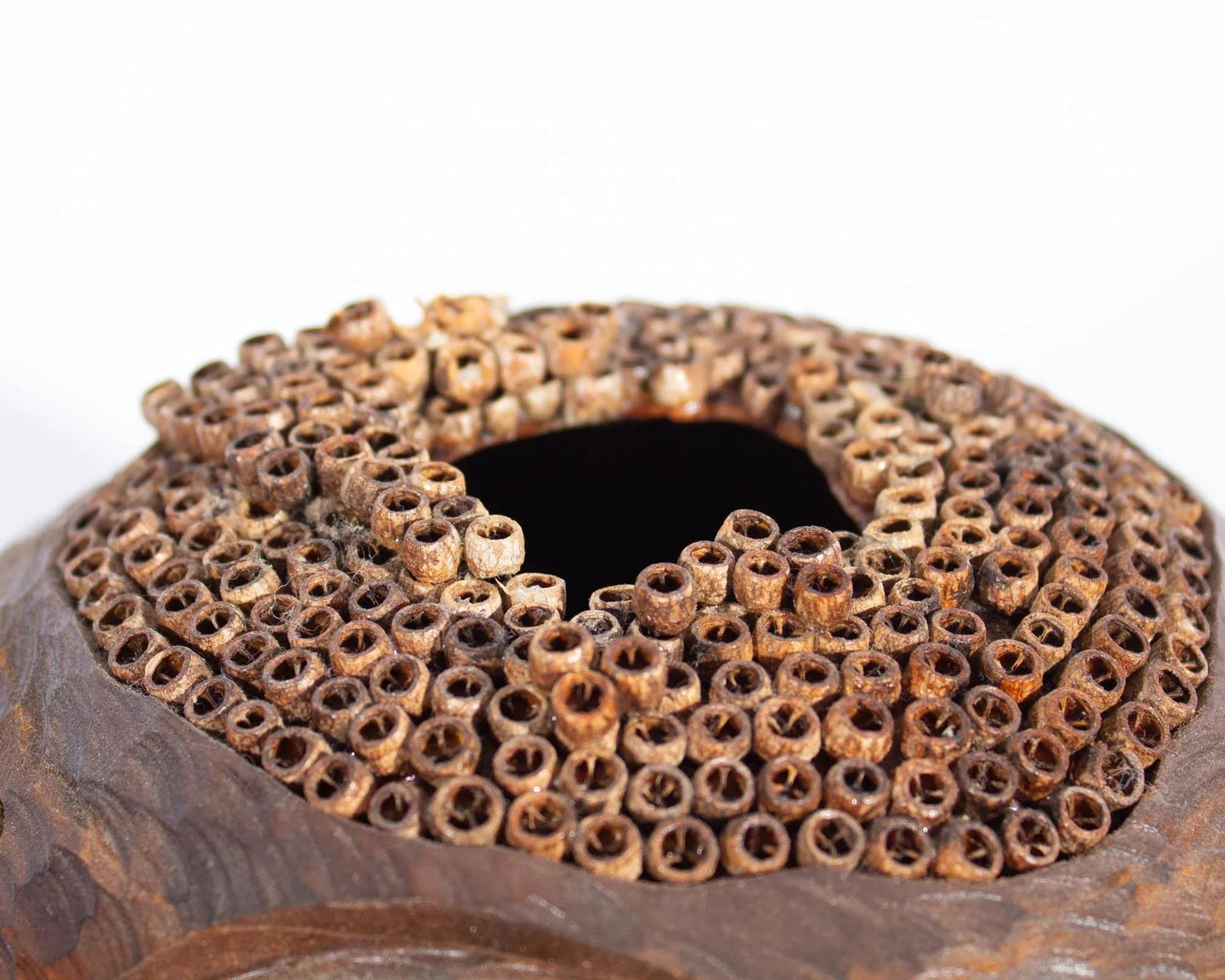 Lloyd Cheney Signed 2007 Sculptural Wooden Vase - 3