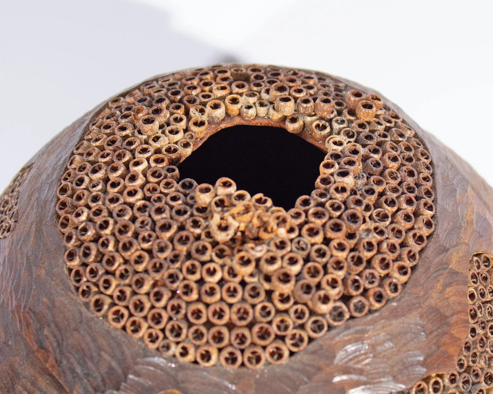 Lloyd Cheney Signed 2007 Sculptural Wooden Vase - 4