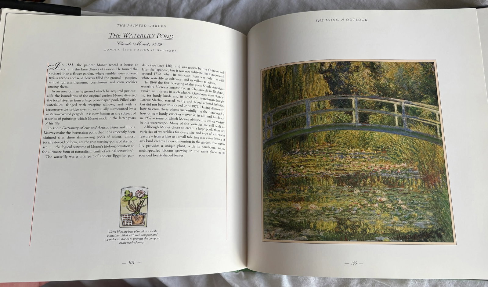 The Painted Garden the Garden Through the Artist's Eye, Hardcover First Edition - 7