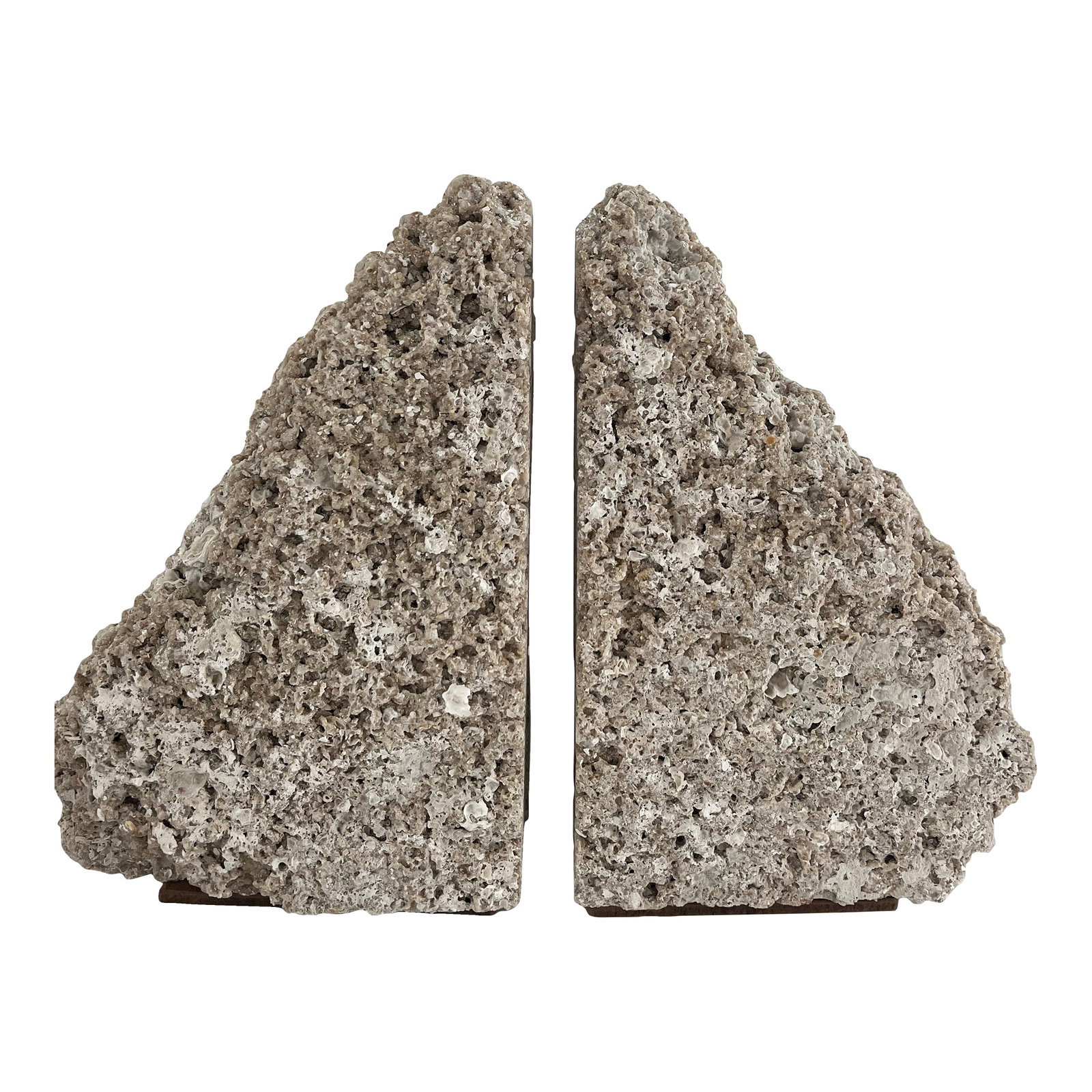 Pair of Mid 20th Century Coquina Stone Urban Organic Bookends: Urban organic Matching Coquina Bookends. What I love about this pair is their large size and how carefully they are crafted. The cut side is very straight and neatly cut. The bottoms have a base so