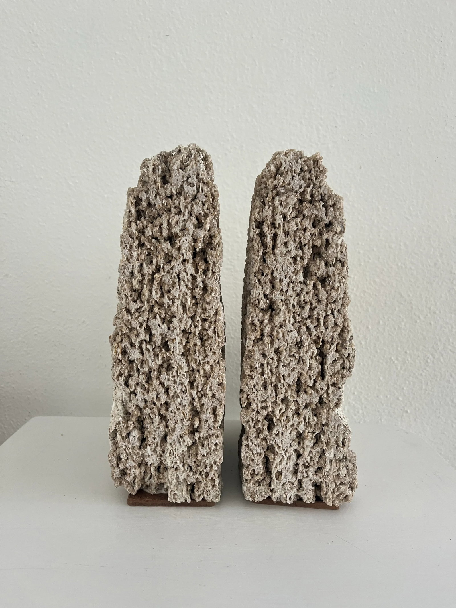Pair of Mid 20th Century Coquina Stone Urban Organic Bookends - 4