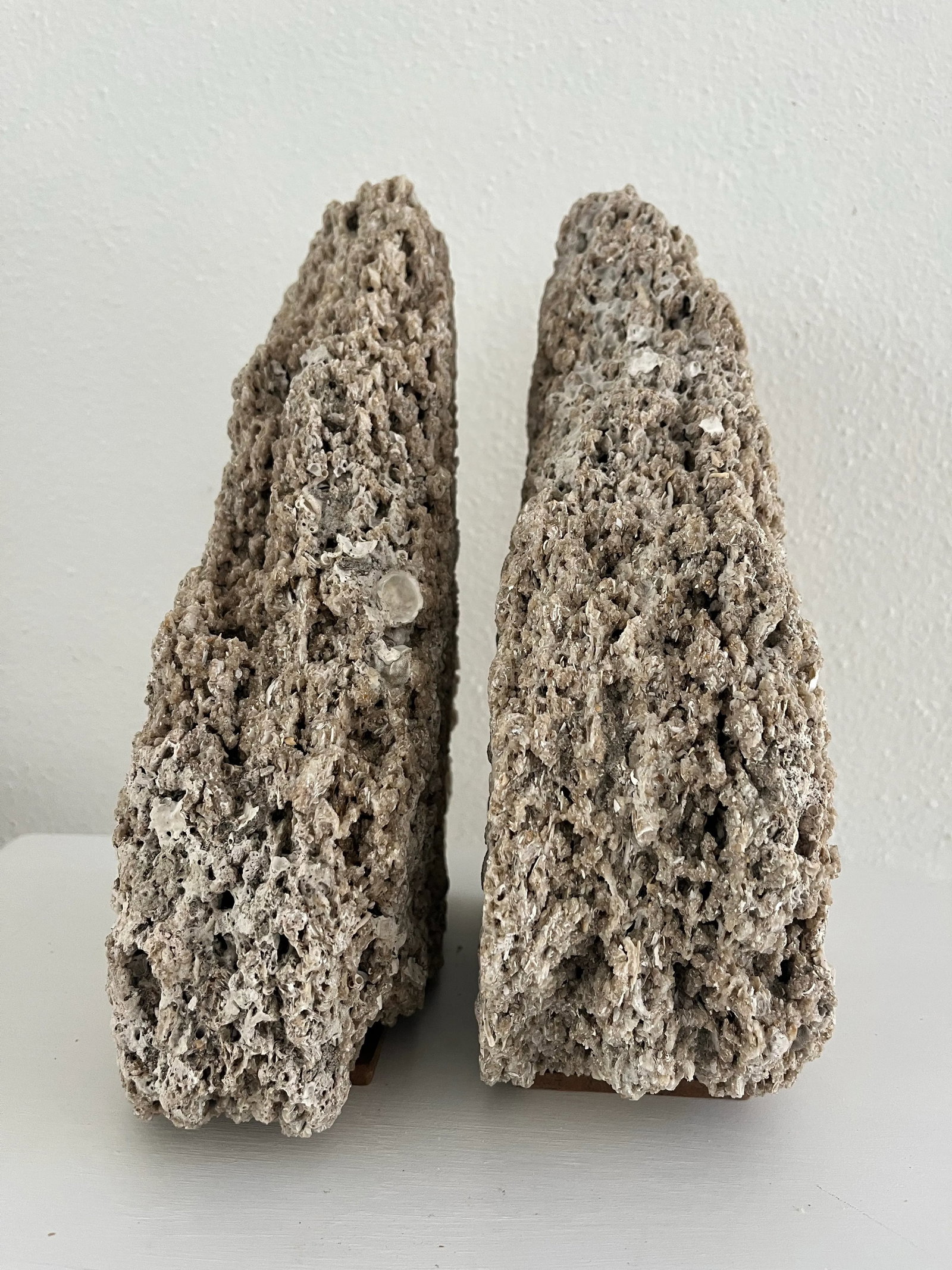 Pair of Mid 20th Century Coquina Stone Urban Organic Bookends - 5