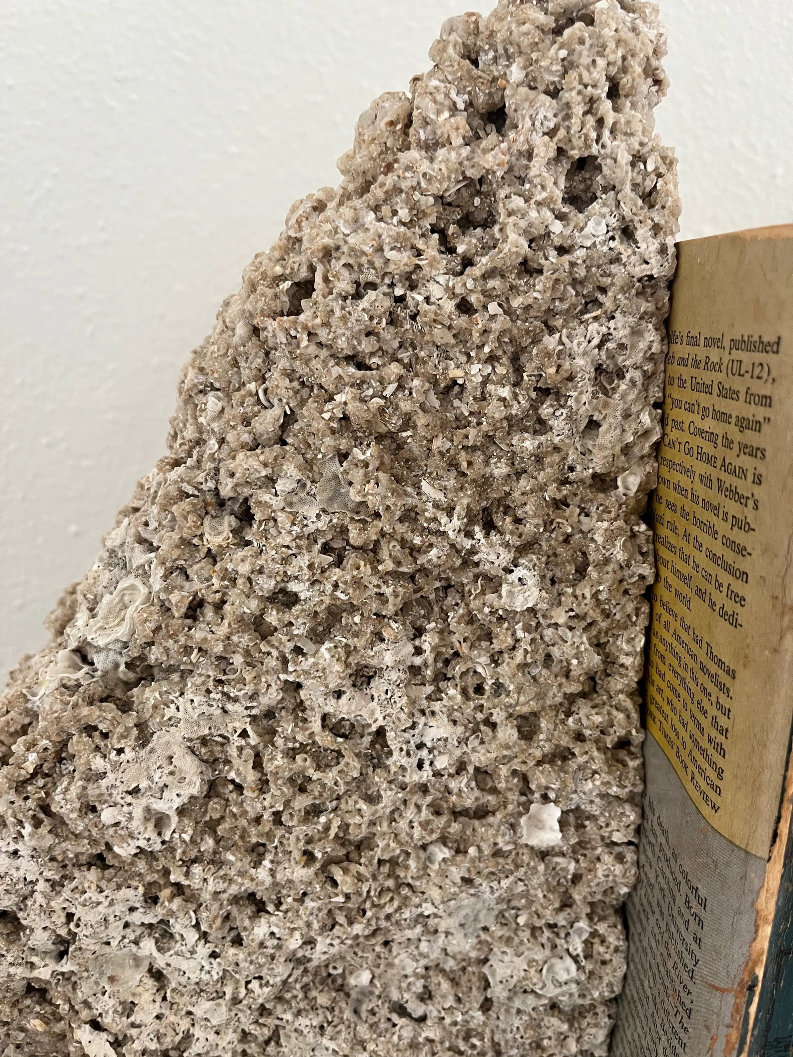 Pair of Mid 20th Century Coquina Stone Urban Organic Bookends - 6