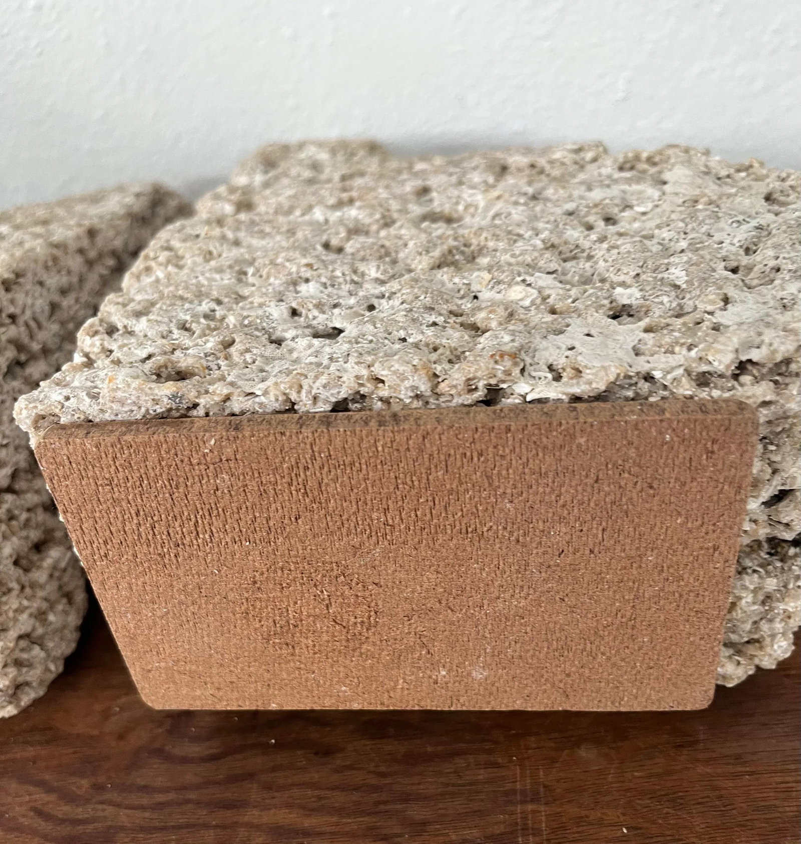 Pair of Mid 20th Century Coquina Stone Urban Organic Bookends - 7