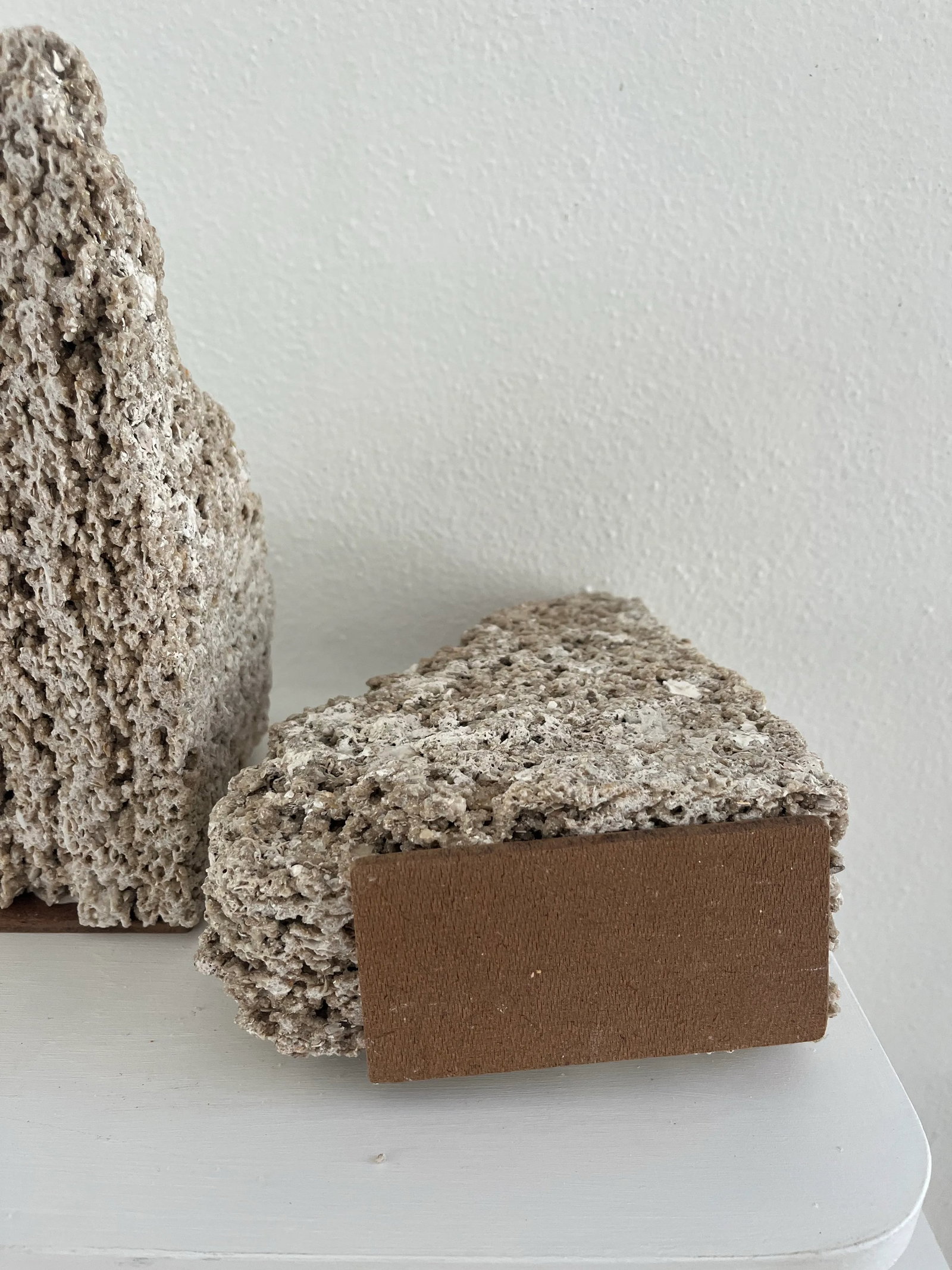 Pair of Mid 20th Century Coquina Stone Urban Organic Bookends - 8