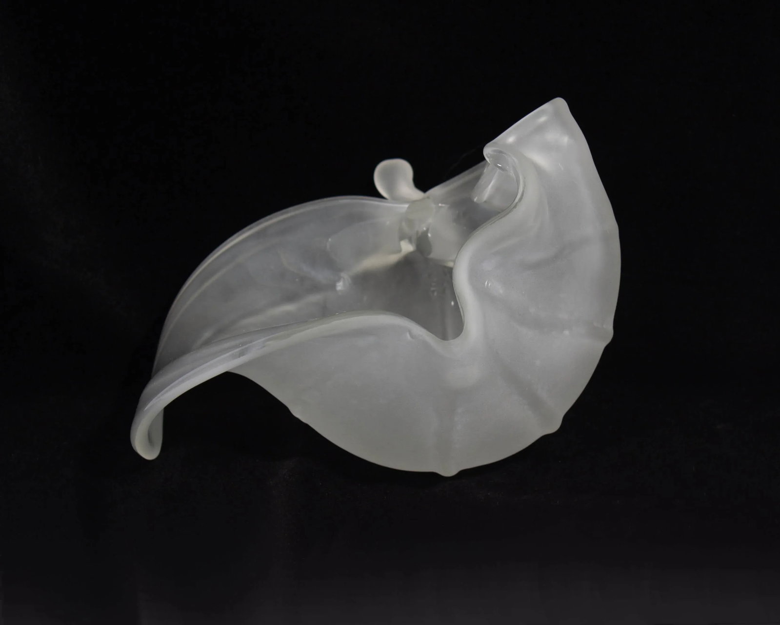 2007 Art Glass Shell Bowl Signed by Nikolas Weinstein - 2