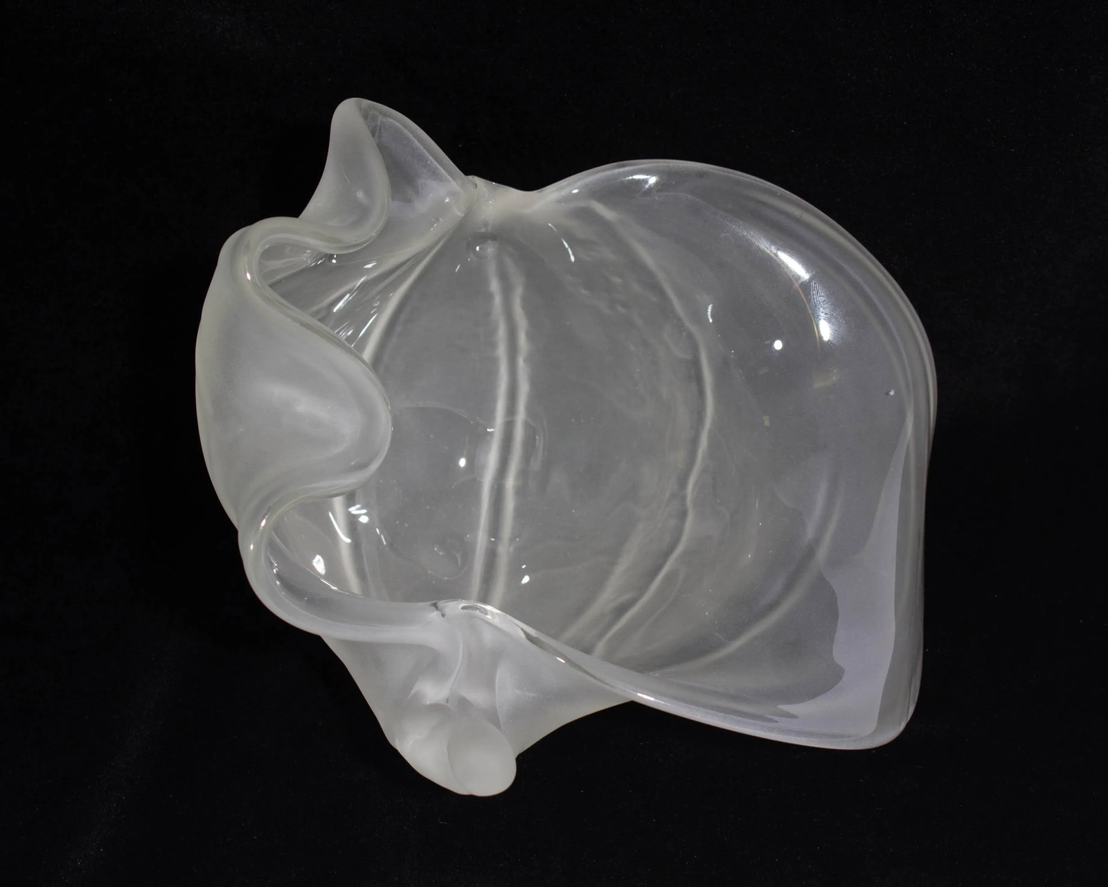 2007 Art Glass Shell Bowl Signed by Nikolas Weinstein - 4
