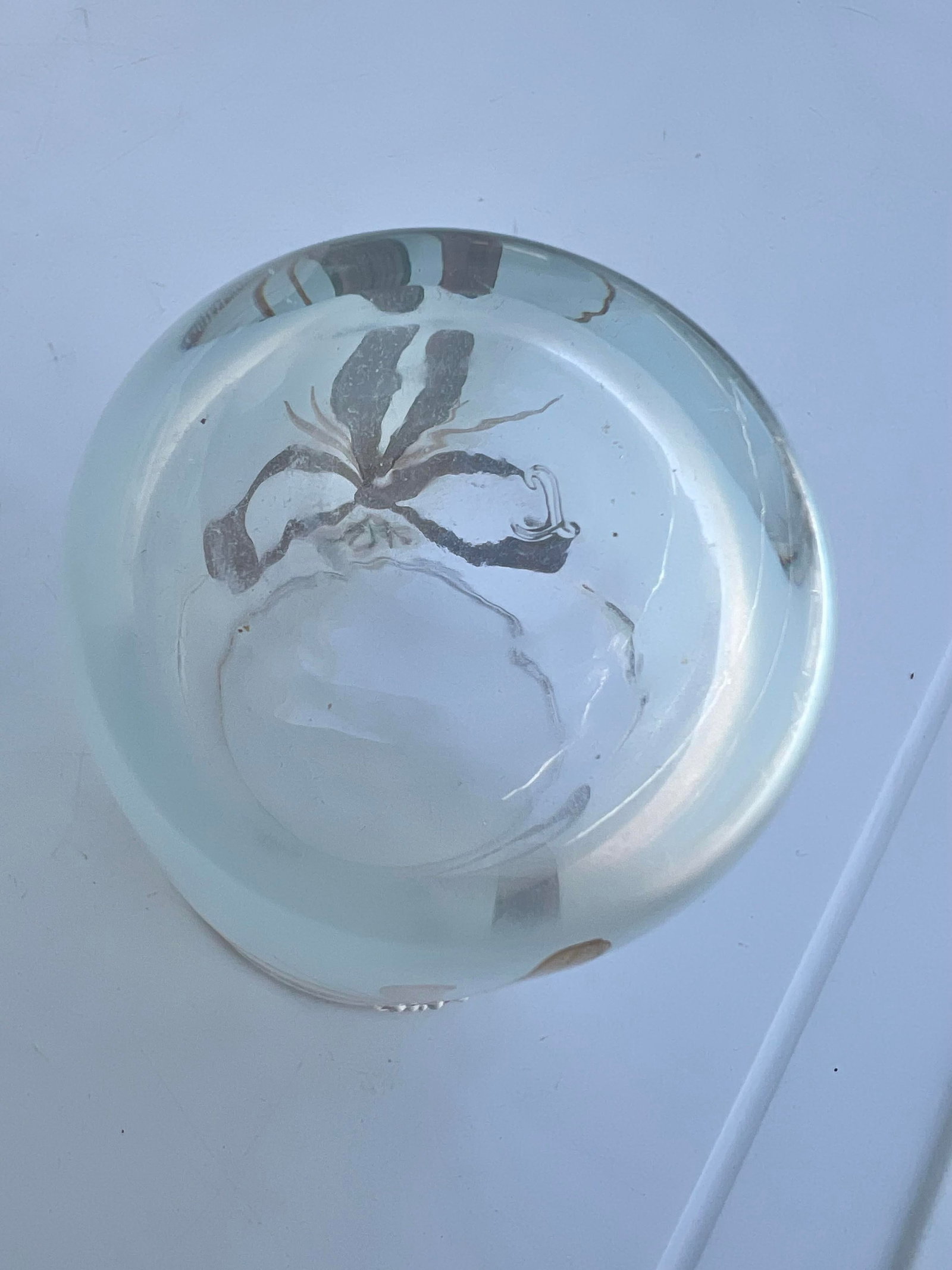Mid 20th Century Art Deco Floral Painted Glass Jar /Vase - 6