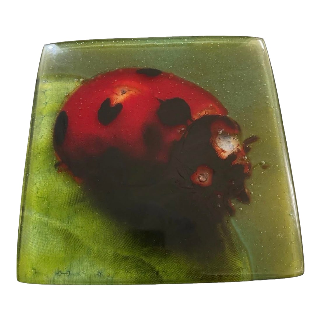1980s Beautiful 11 X 11 Heavy Solid Blown Ladybug Glass Plaque Italian Art Signed: Beautiful 11 x 11 Heavy solid blown Ladybug glass plaque Italian art signed Excellent condition This product is a beautiful 11x11 heavy solid blown Ladybug glass plaque featuring Italian art. The