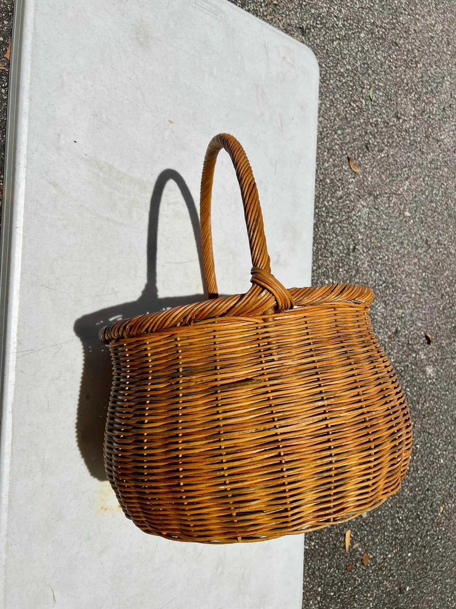 1970s Large Gourd Basket With Handle - 9