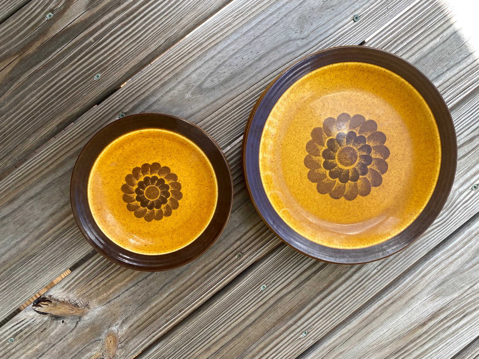 1970s Homer Laughlin, Apollo, Stoneware, Dinner Plates and Salad Plates Set- 8 Pieces - 2