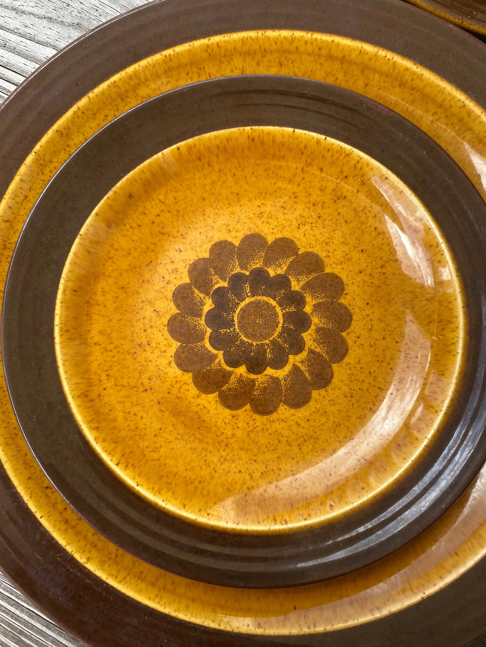 1970s Homer Laughlin, Apollo, Stoneware, Dinner Plates and Salad Plates Set- 8 Pieces - 5