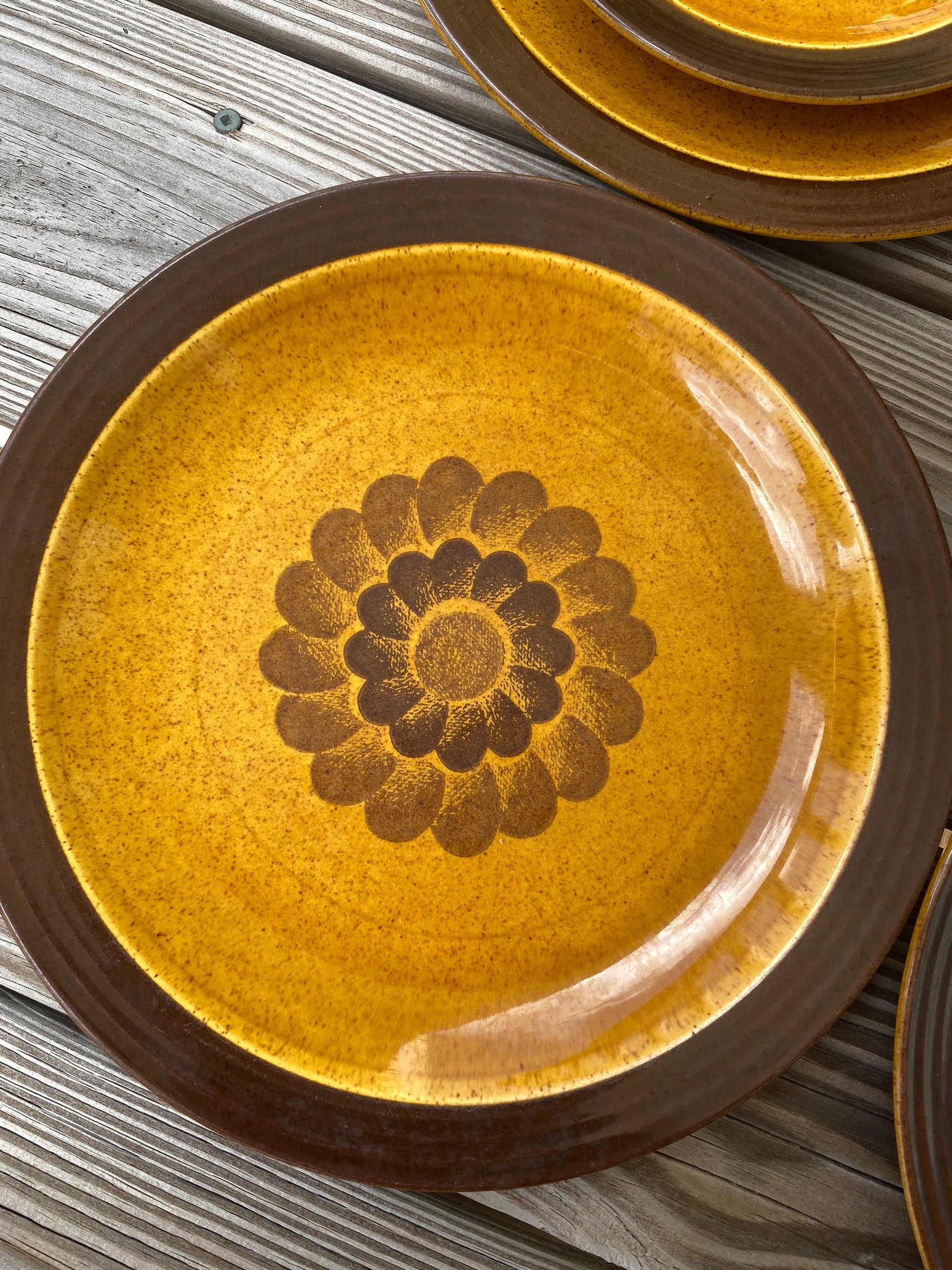 1970s Homer Laughlin, Apollo, Stoneware, Dinner Plates and Salad Plates Set- 8 Pieces - 6