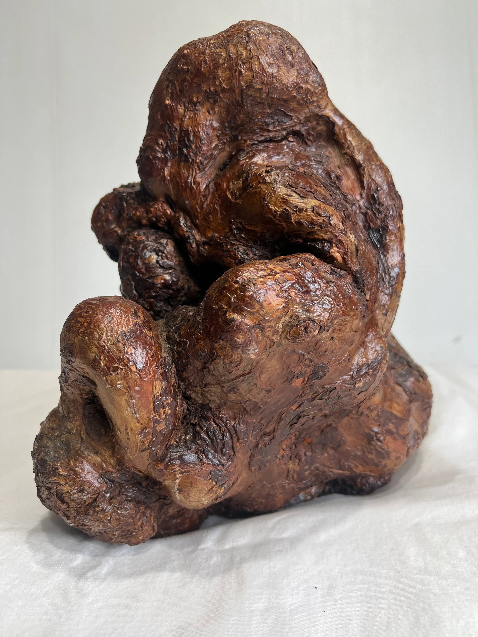 Late 19th Century Natural Root Burl Wood Sculpture - 3