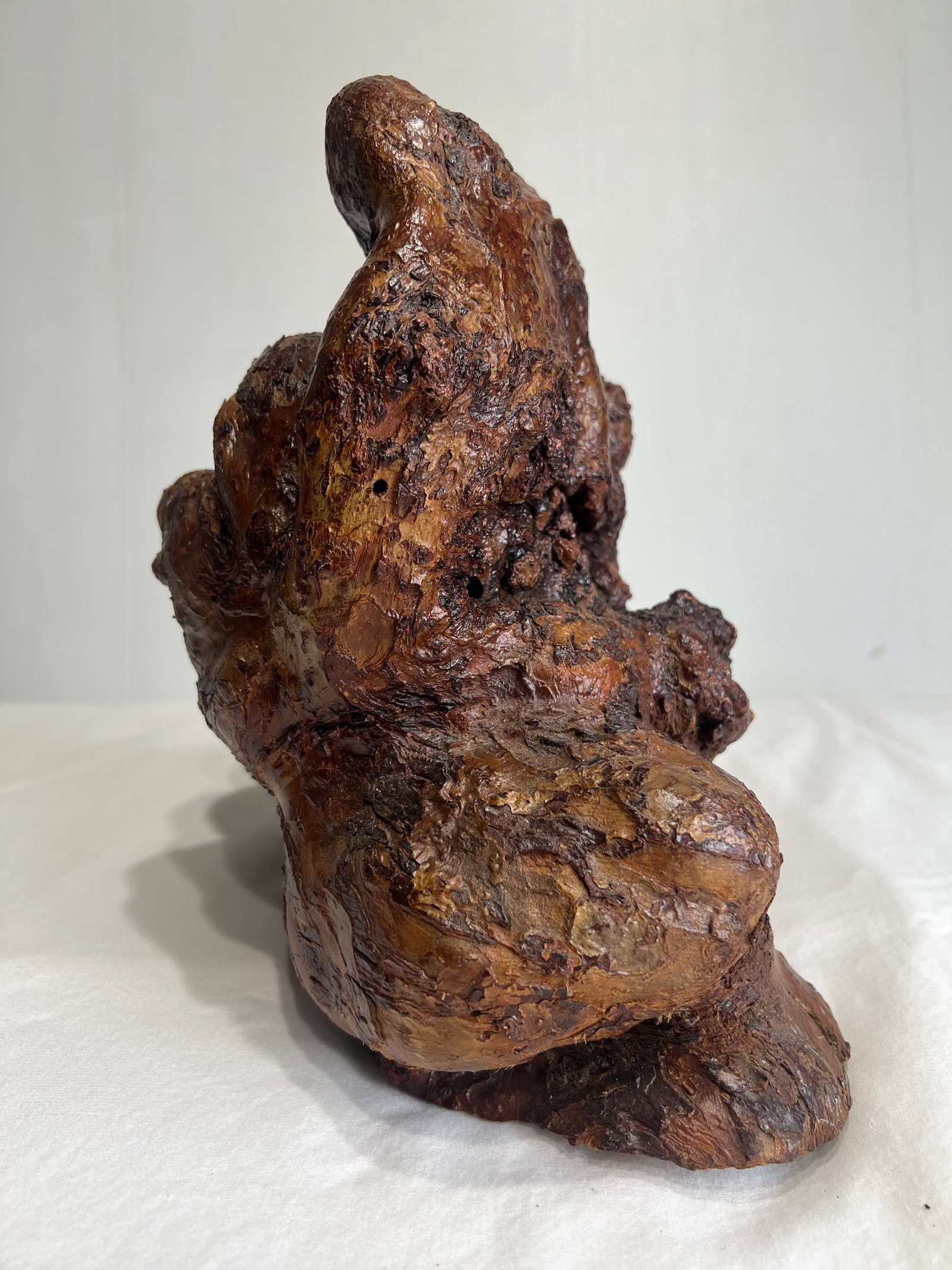 Late 19th Century Natural Root Burl Wood Sculpture - 4