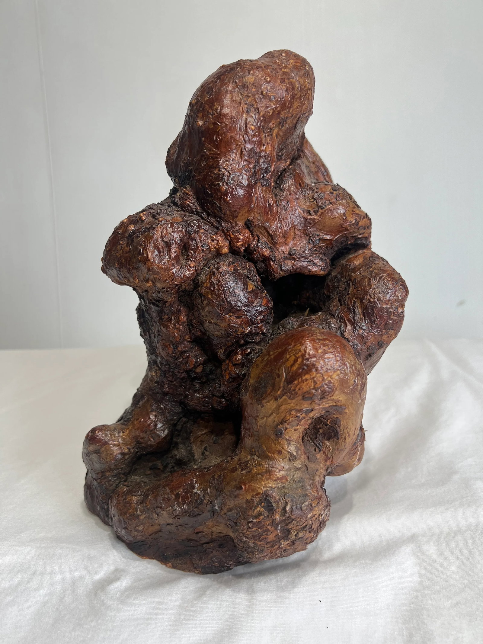 Late 19th Century Natural Root Burl Wood Sculpture - 6