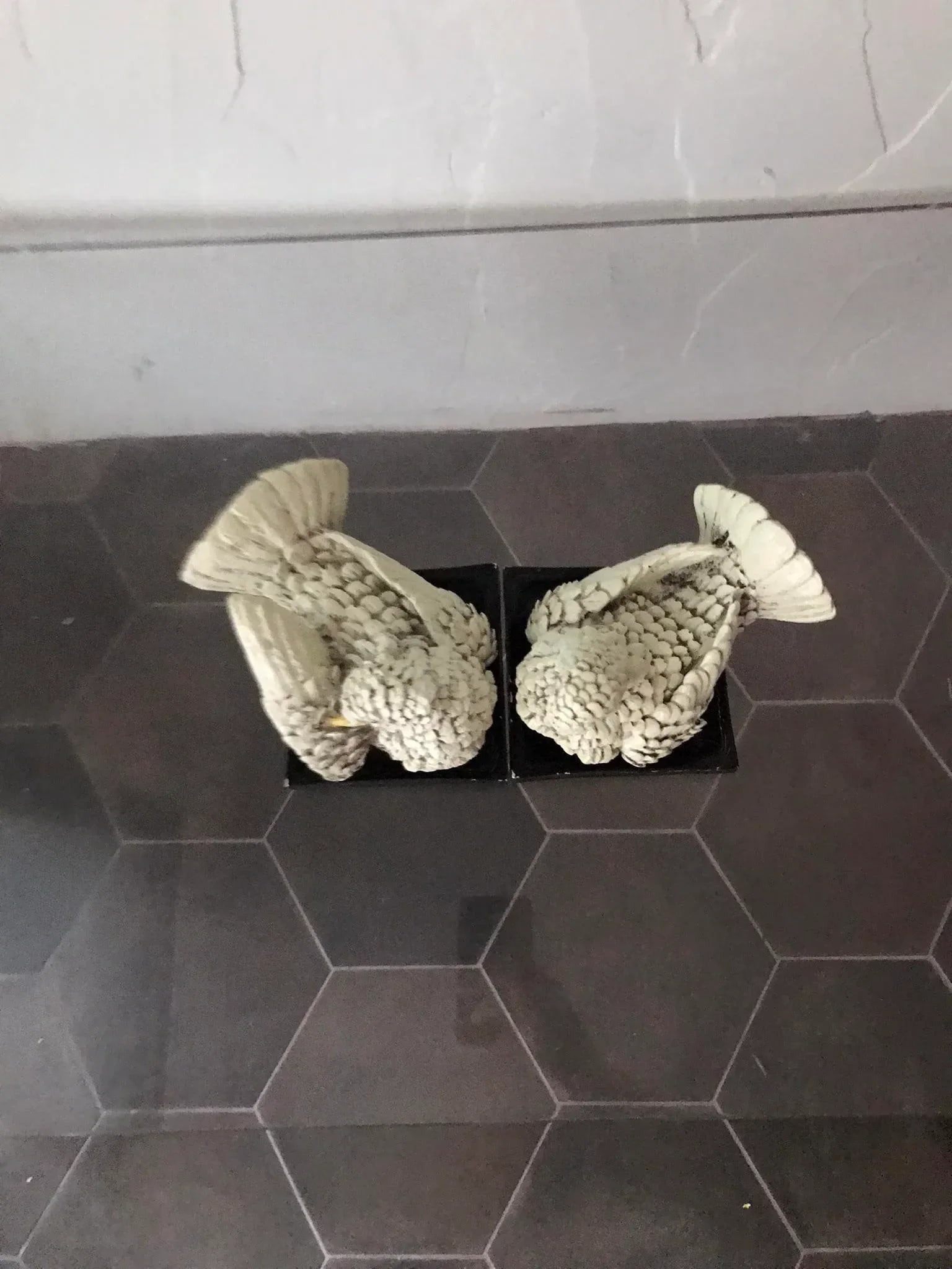 Mid 20th Century Two Turtle Doves Carved Wood Bookends, in the Style of Italian Artist Amilcare Sant - 6