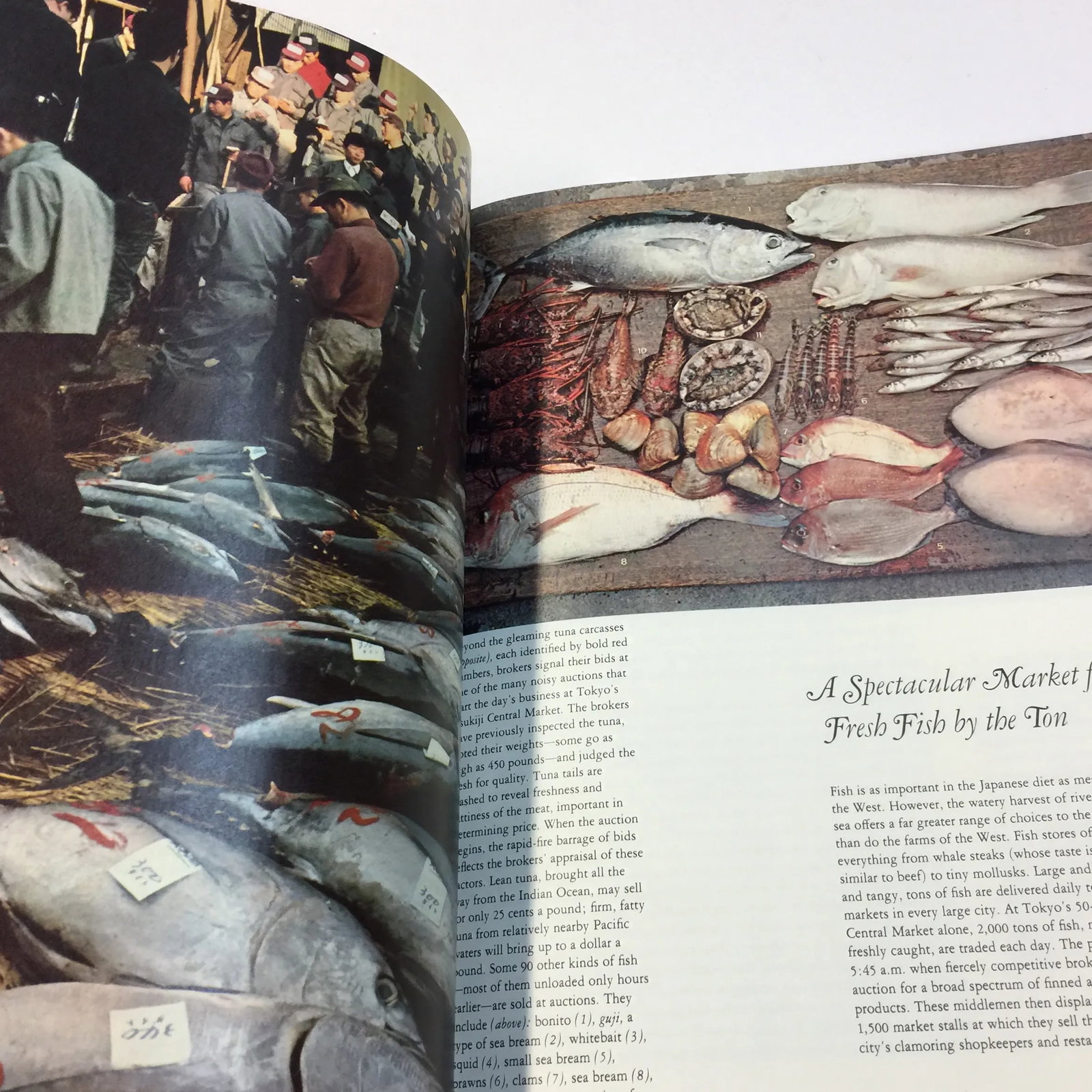 The Cooking of Japan 1972 Book - 10