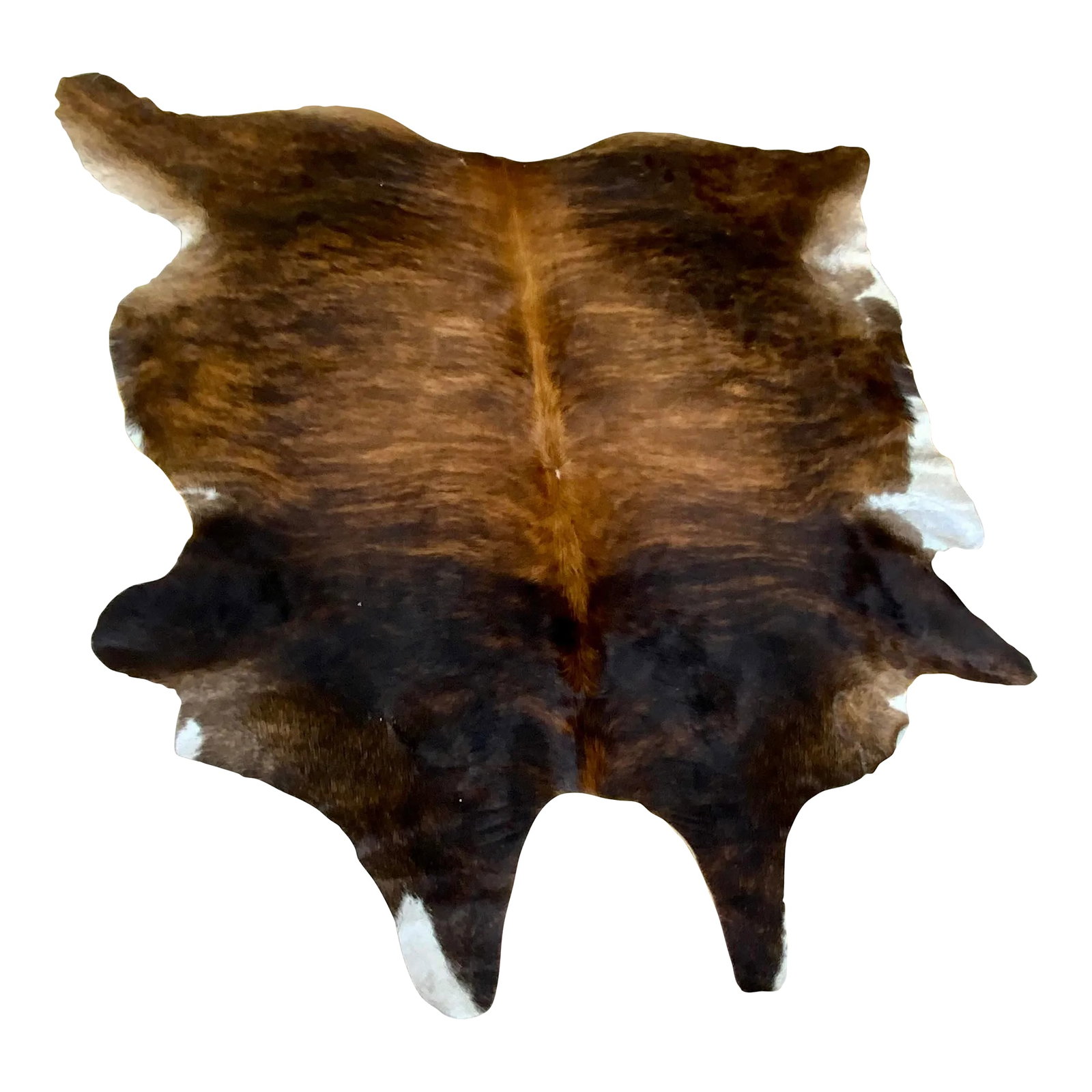 Modern Brindle Hair on Hide: Stylish Modern Brindle Hair on Hide, great for layering, showroom Floor sample Condition: Imperfections: Some Imperfections Condition Notes: Natural from an animal Origin: United States Materials