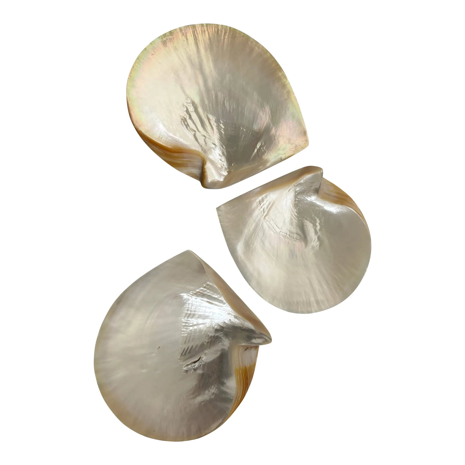Vintage Mother of Pearl Seashell Caviar Dishes / Seafood Servers - Set of 3: Elevate your dinner parties with this beautiful set of 3 vintage mother of pearl seashell caviar dishes or seafood servers that nestle into one another when not used individually. CIRCA: Mid-20th