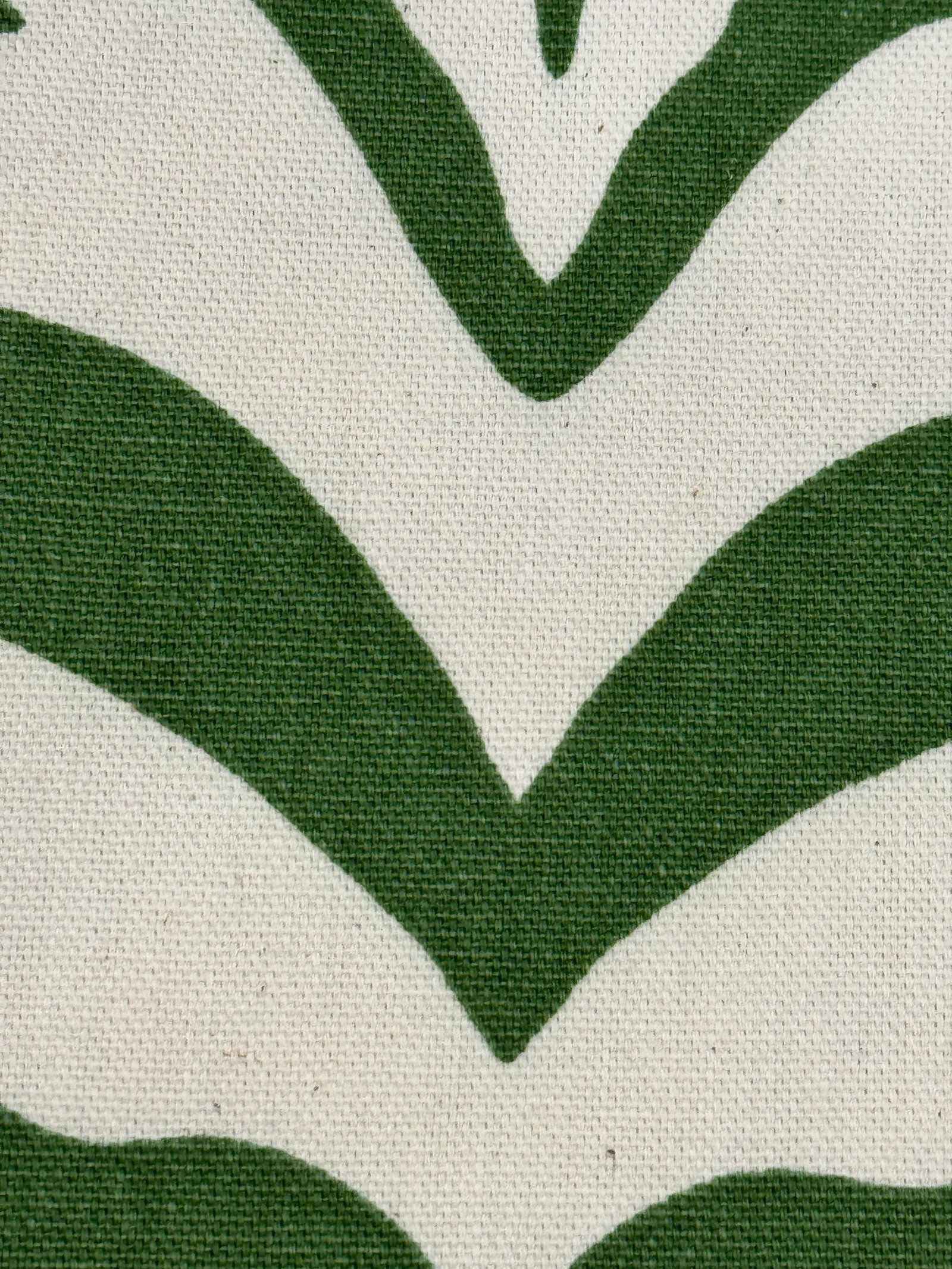 Green Rose Cumming Zebrine Fabric - 3 Yards - 4