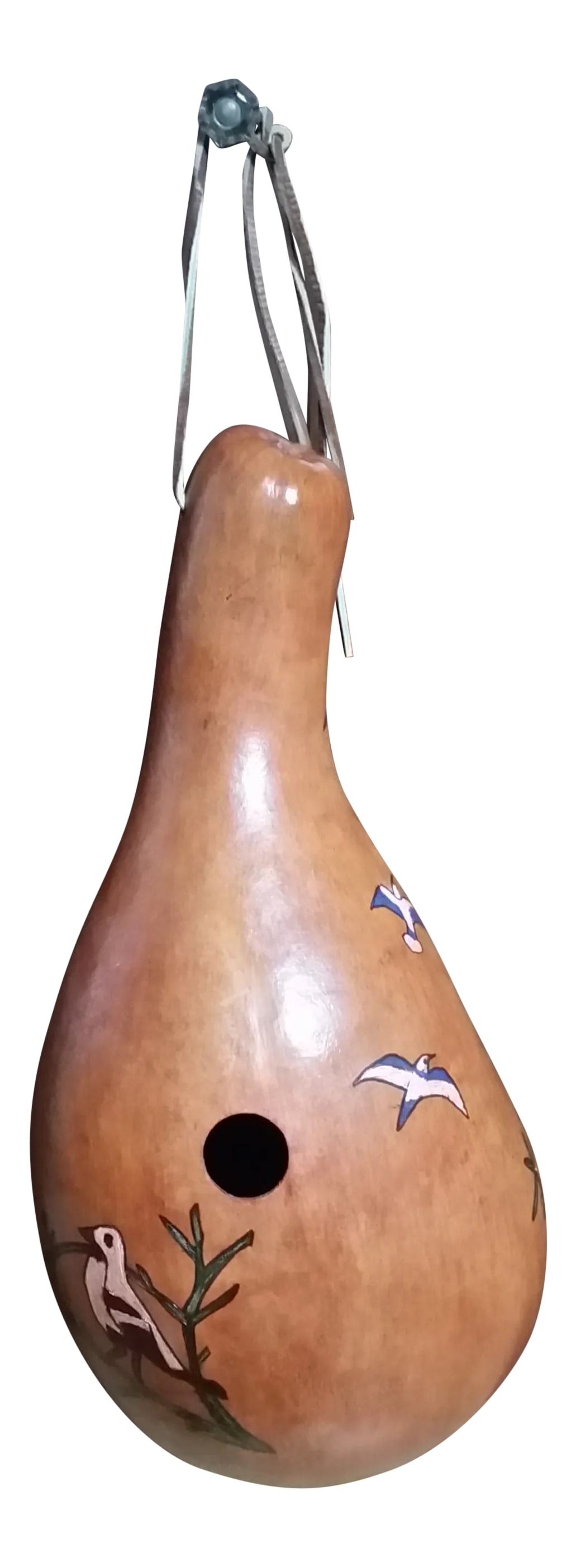 Late 20th Century Amish Folk Art Gourd Birdhouse: Here's a very nice piece of folk art by the Amish in Upstate New York that is a birdhouse fashioned from a gourd and hand painted with birds. These houses attract beautiful birds of all species. Hang