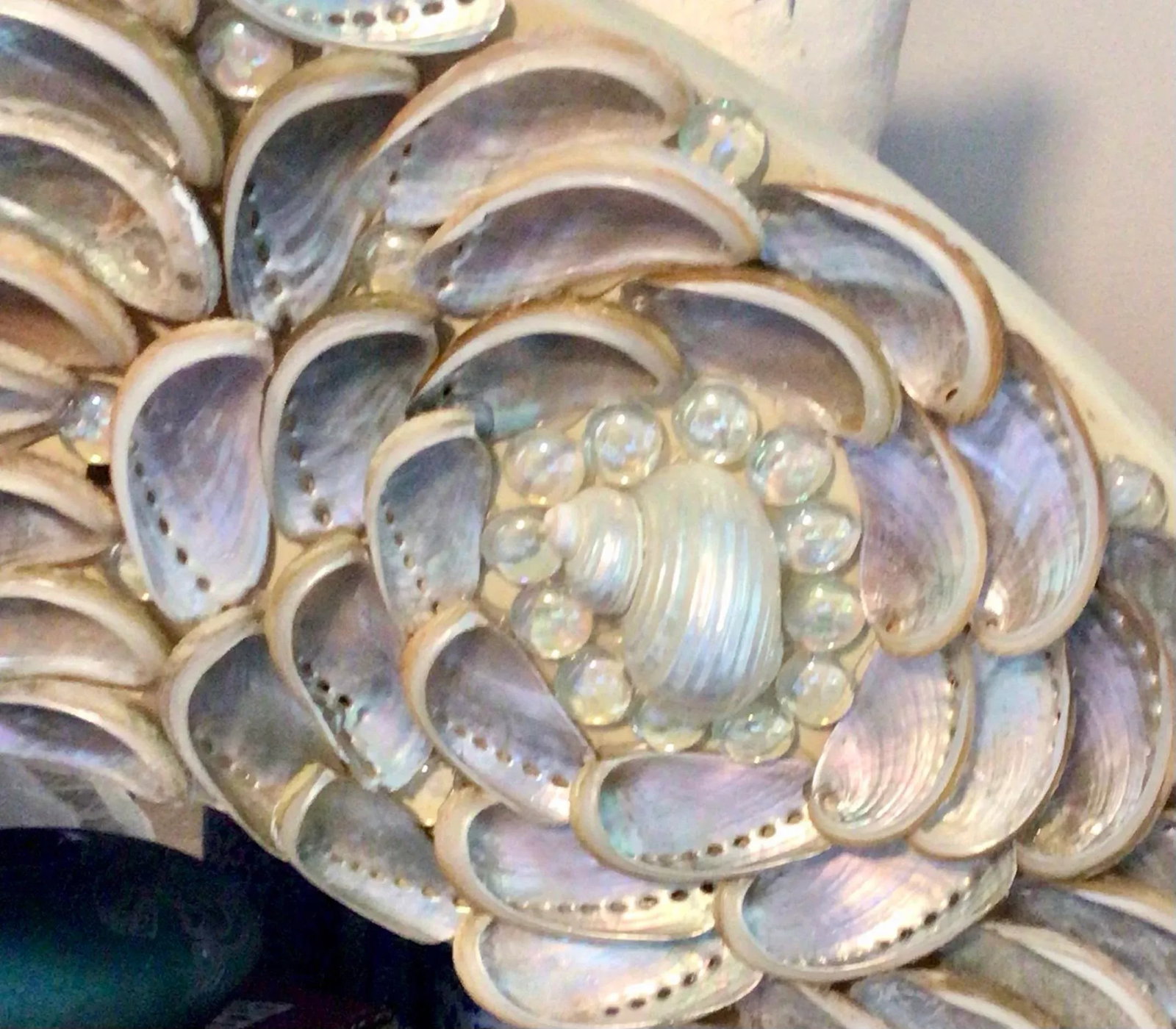 Stunning Silver Iridescent Abalone Seashells ...Rosette Pattern - 8
