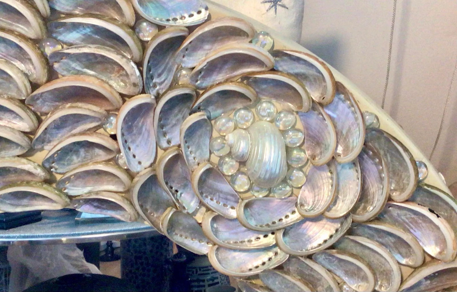 Stunning Silver Iridescent Abalone Seashells ...Rosette Pattern - 9