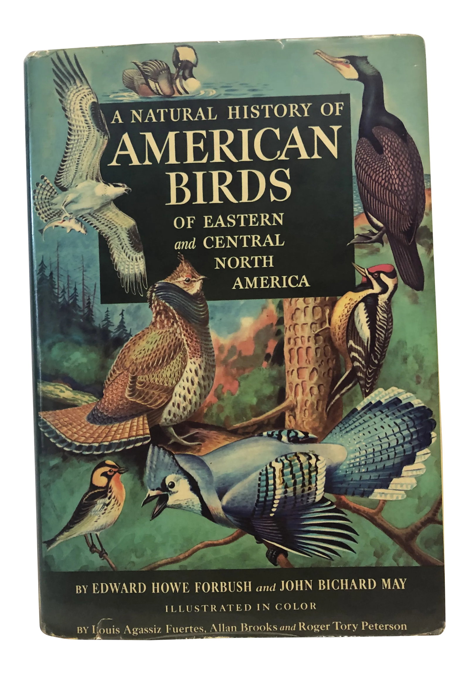 Natural History of American Birds of Eastern & Central America Book: A Natural History of American Birds of Eastern & Central America by Edward Howe Forbush & John Bichard May, illustrated in color, published by Bramhall House in 1955, has a partially torn cover, minor